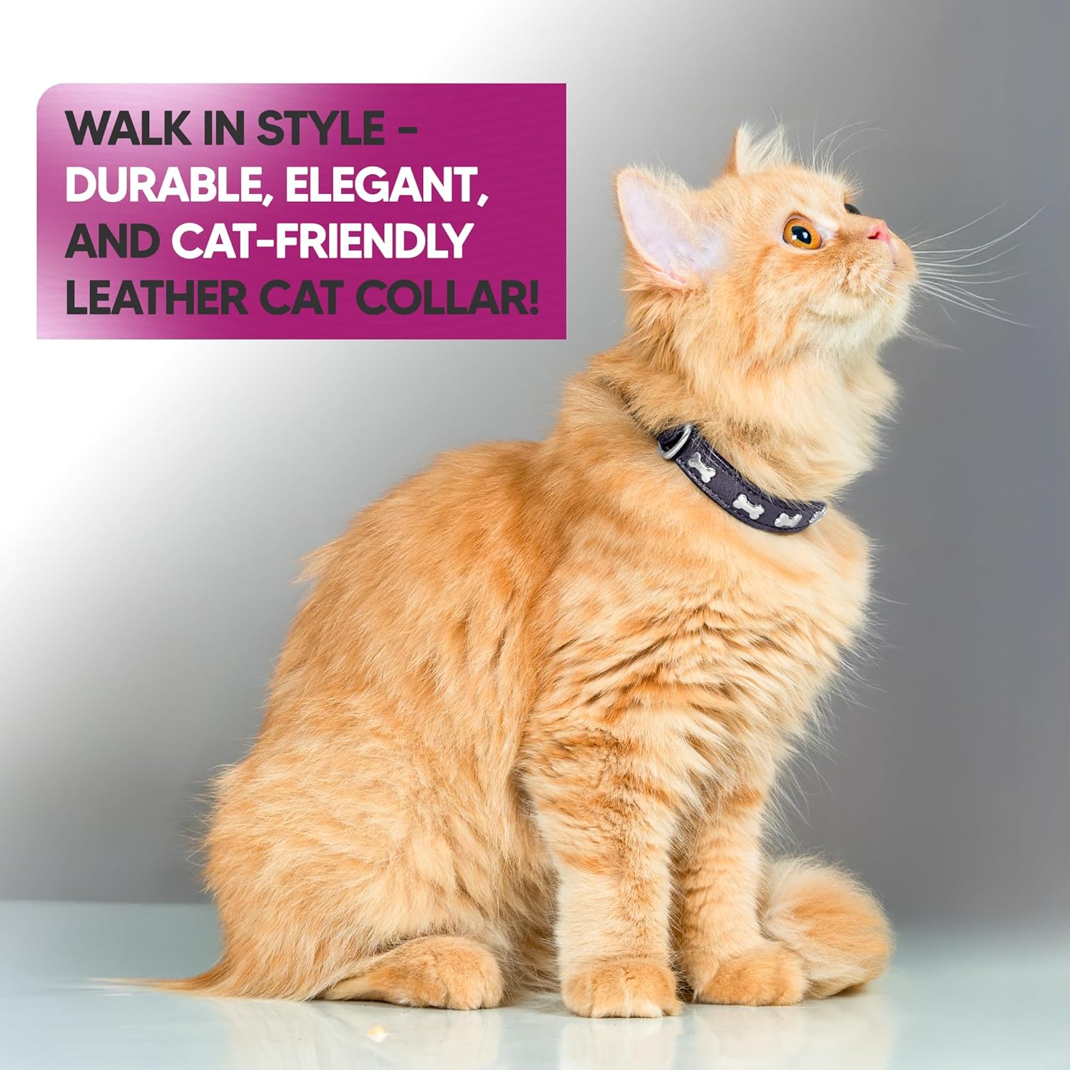 Adil’S Leather Cat Collar - Stylish Six Bone Studded Design, Breakaway Soft pet Collar, Adjustable Metal Buckle with Strong D-Ring for Leash attachments,Comfortable & Secure (Black)