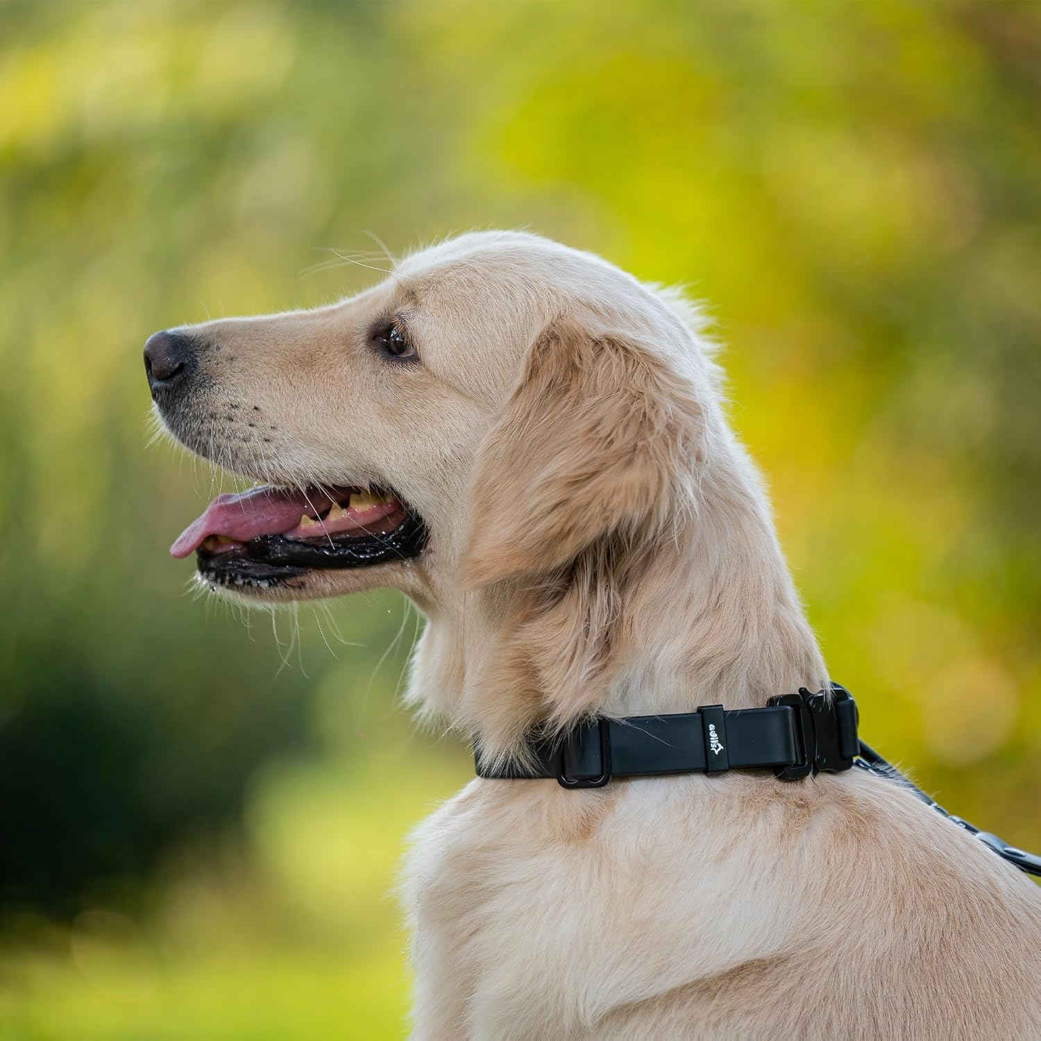 Adil’S Biothane Dog Collar - Waterproof Heavy Duty Dog Collars with Quick Release Buckle & D-Ring