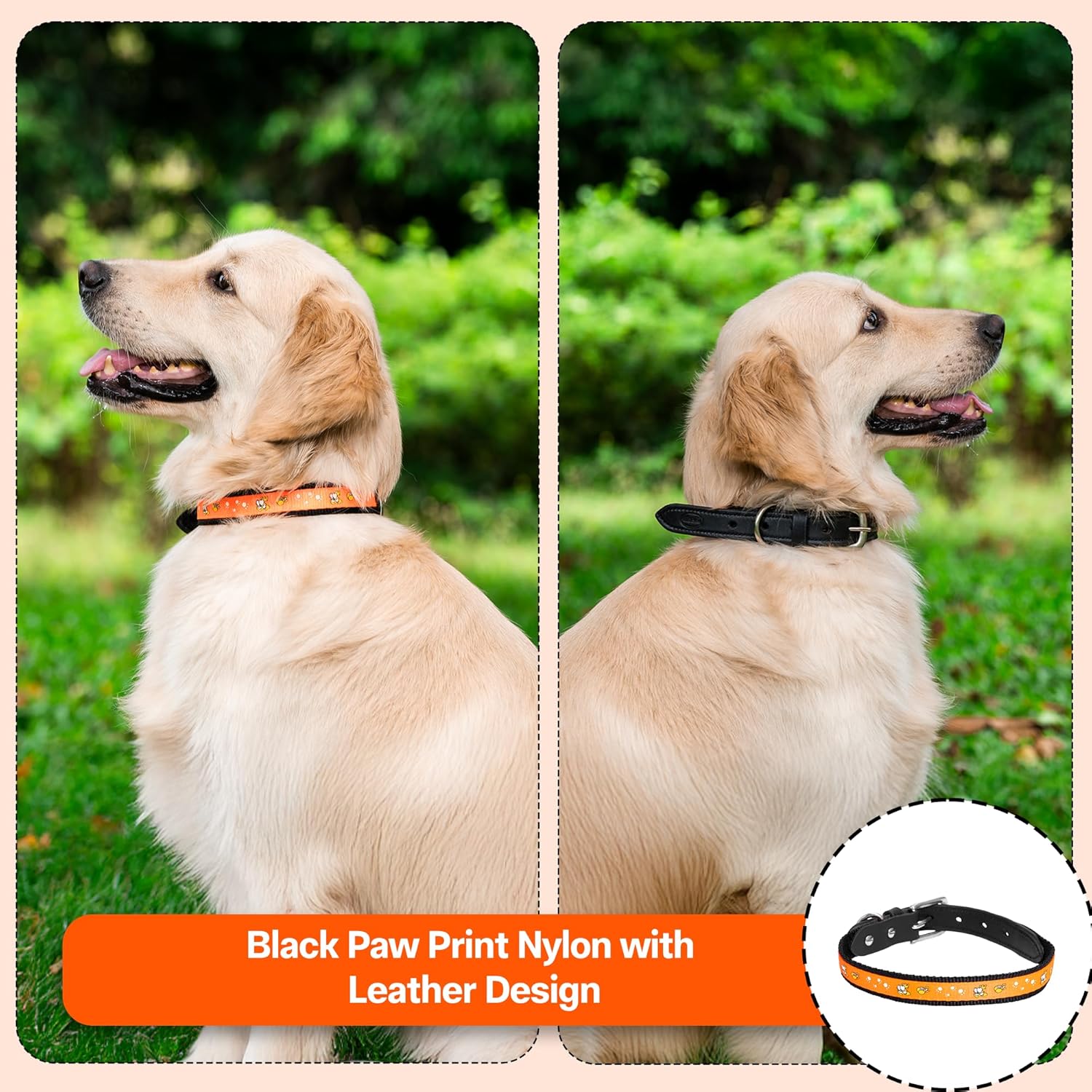 Nylon Dog Collar with Paw Print, Adjustable Metal Buckle