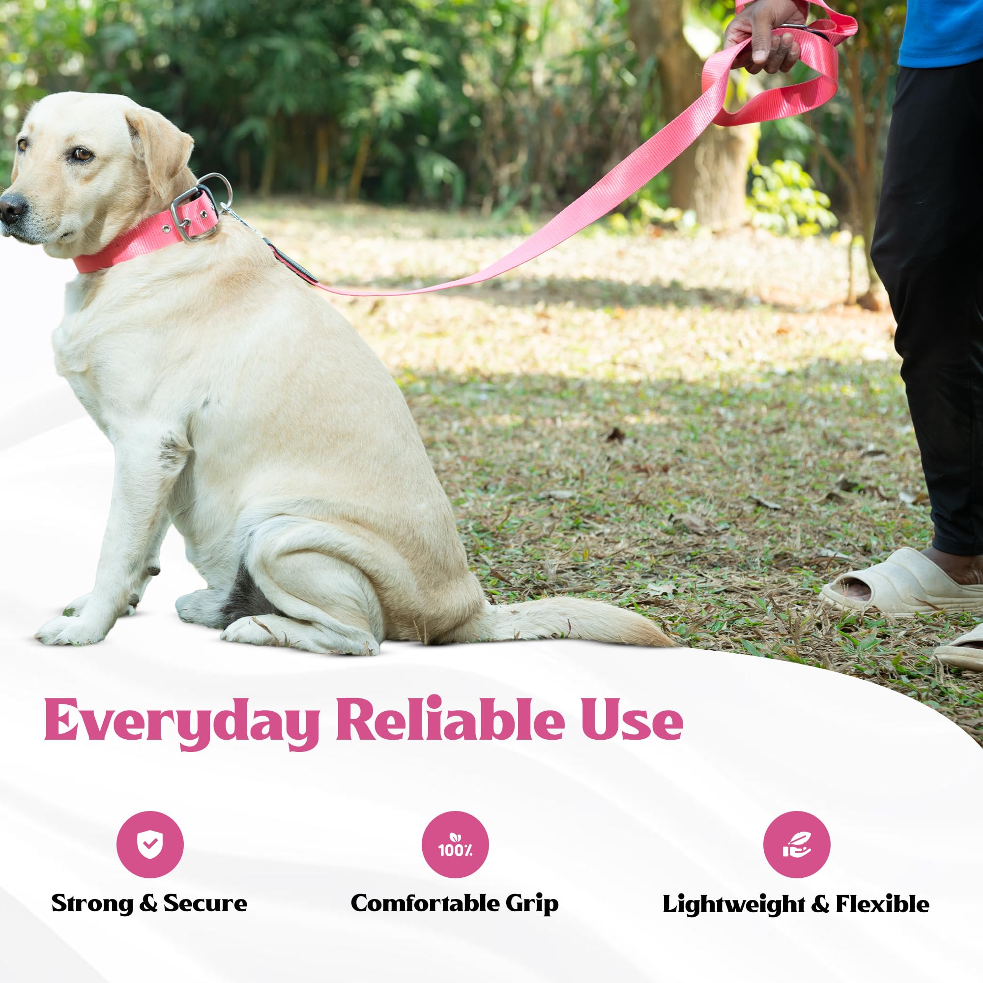 ADIL's Nylon Dog Leash, Heavy Duty Walking Lead with 360° Swivel Metal Hook 1.5 Inch Wide Durable Training Cord with Comfortable Loop Handle for Medium Large Dogs