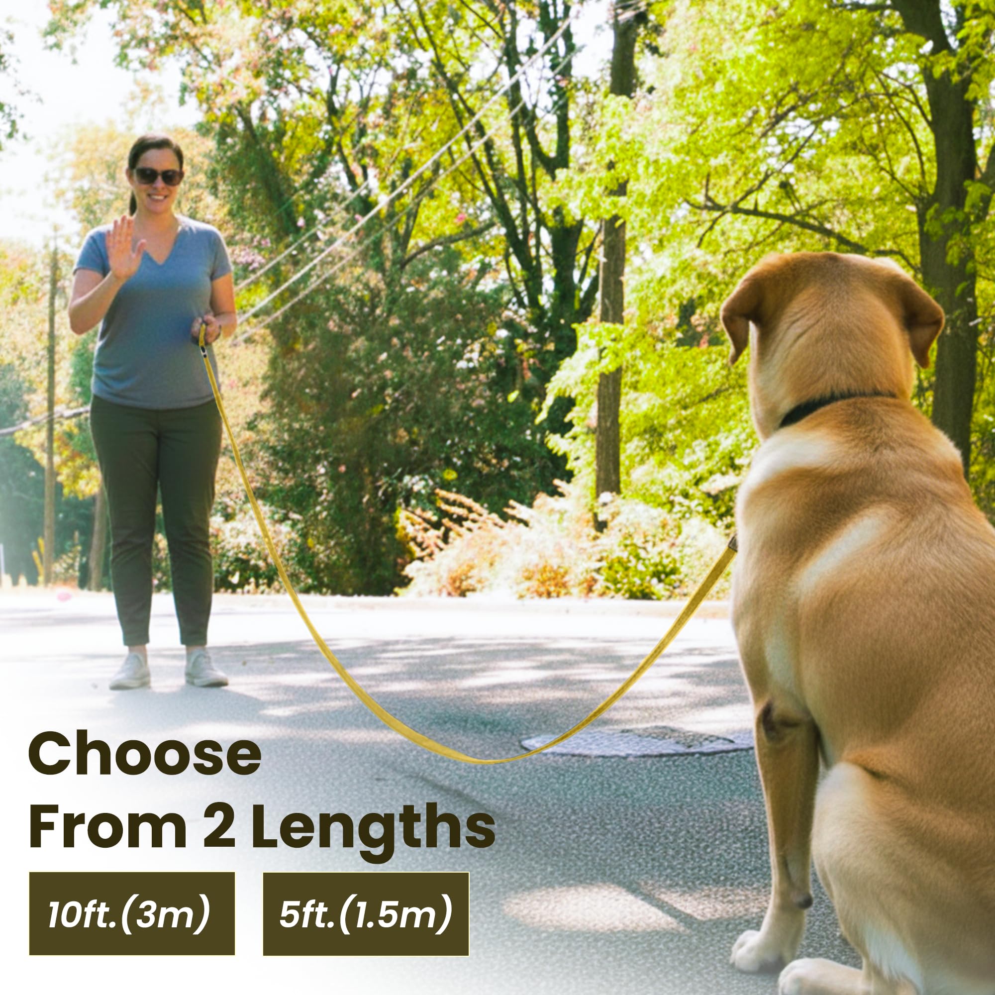 Adil’s 10FT Adjustable Dog Leash Features a Soft Leather Handle, Strong Nylon, and a 360° Swivel Hook—Durable, Comfy, and Ideal for Small to Large Dogs.