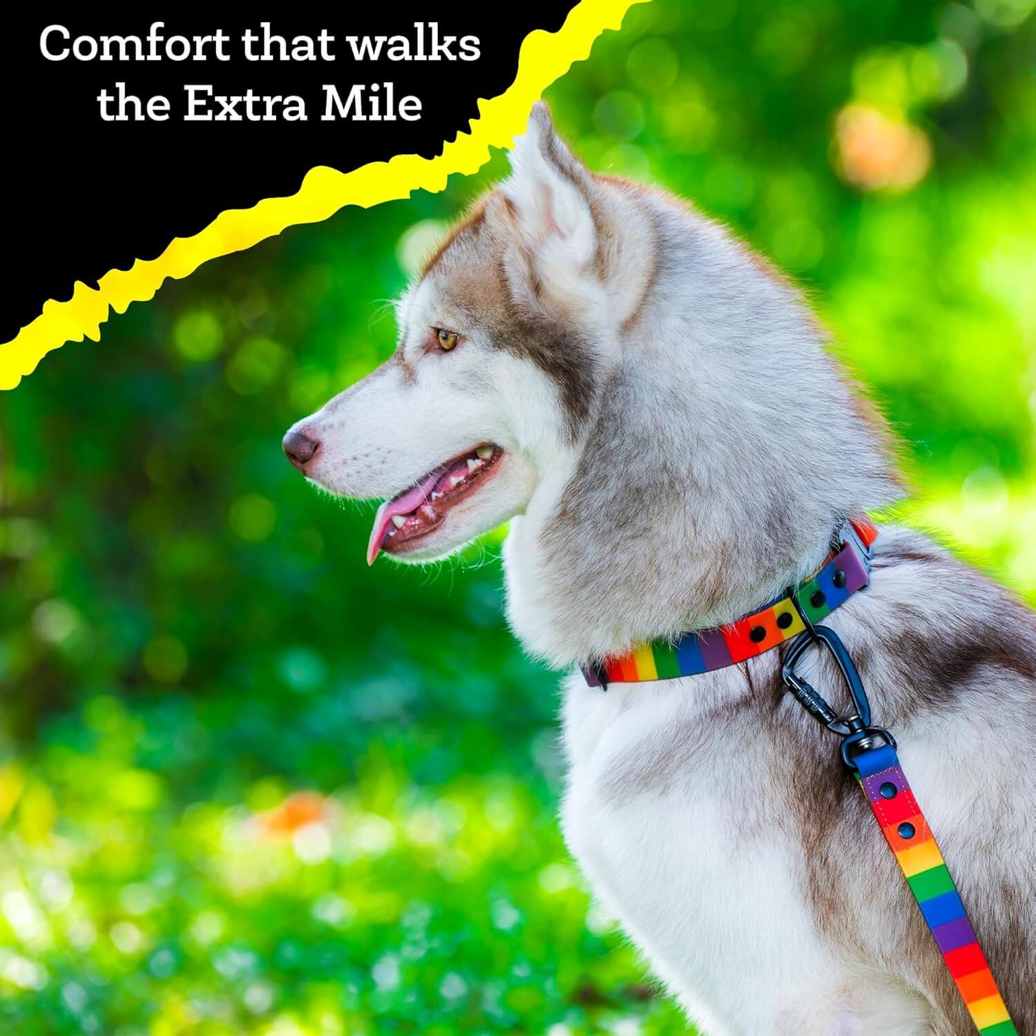 Adil’s Rainbow Dog Leash – Biothane Waterproof Leashes for Dogs, Metal Hook, Adjustable Length & Neck Girth Suitable for Dogs & Puppies of All Breeds Ideal for Walking, Running & Training