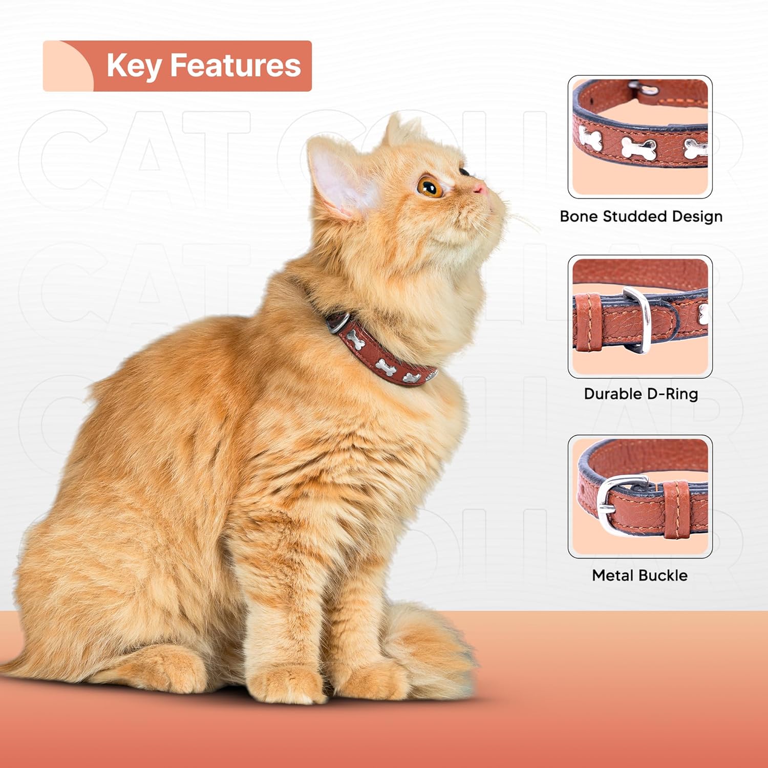 Adil’S Leather Cat Collar - Stylish Six Bone Studded Design, Breakaway Soft pet Collar, Adjustable Metal Buckle with Strong D-Ring for Leash attachments,Comfortable & Secure (Black)