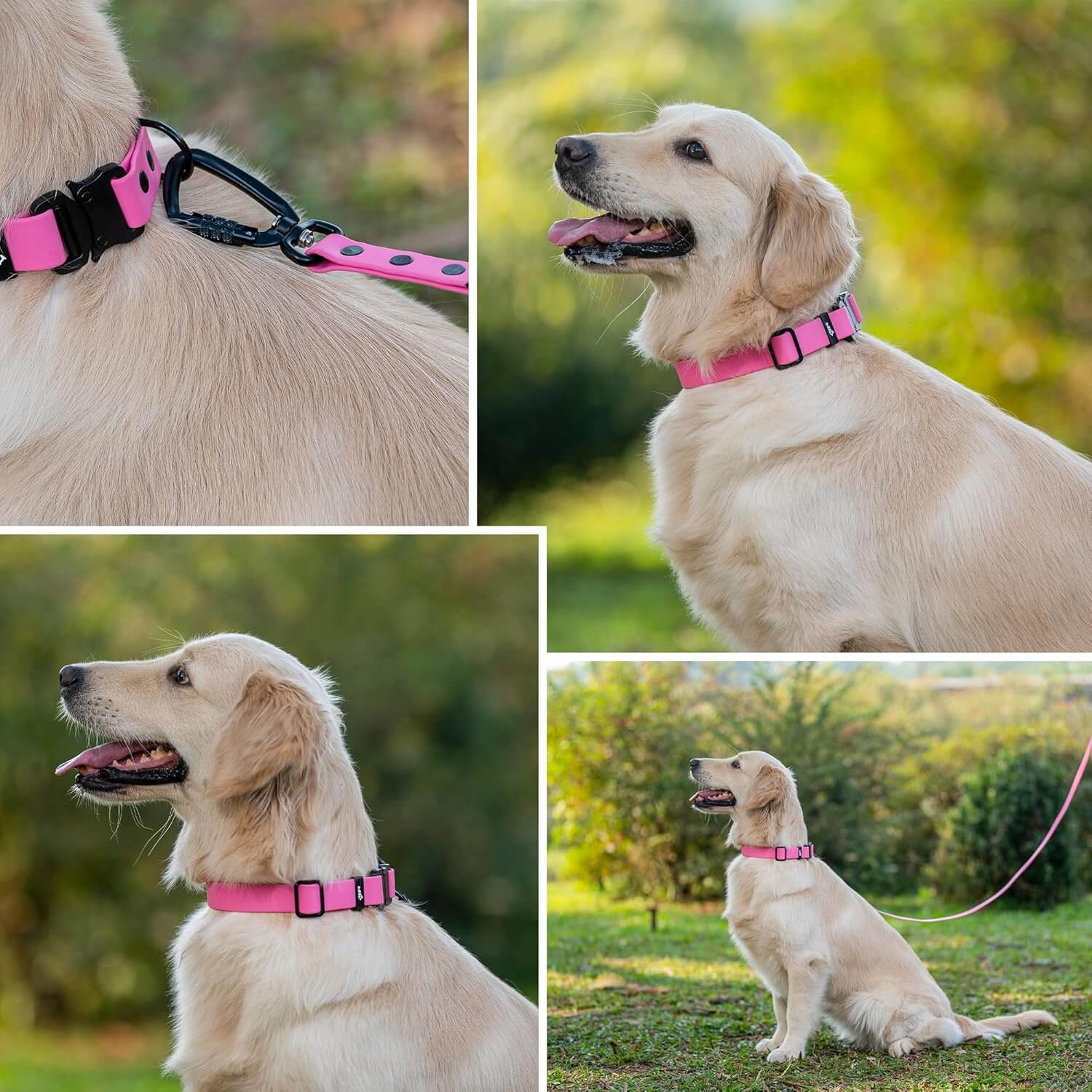 Biothane Combo Dog Collar & Leash