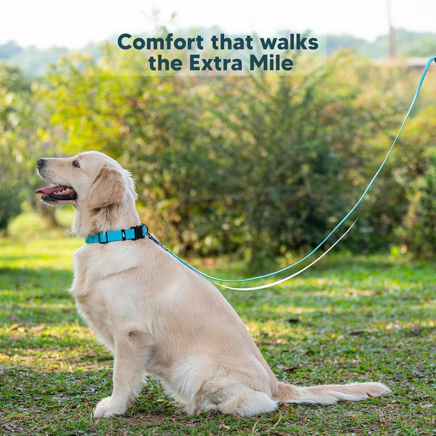 Adil’s Biothane Dog Leash - Waterproof Leashes for Dogs, Metal Hook, Adjustable 5ft Length Suitable for Dogs & Puppies, Ideal for Walking, Running & Training