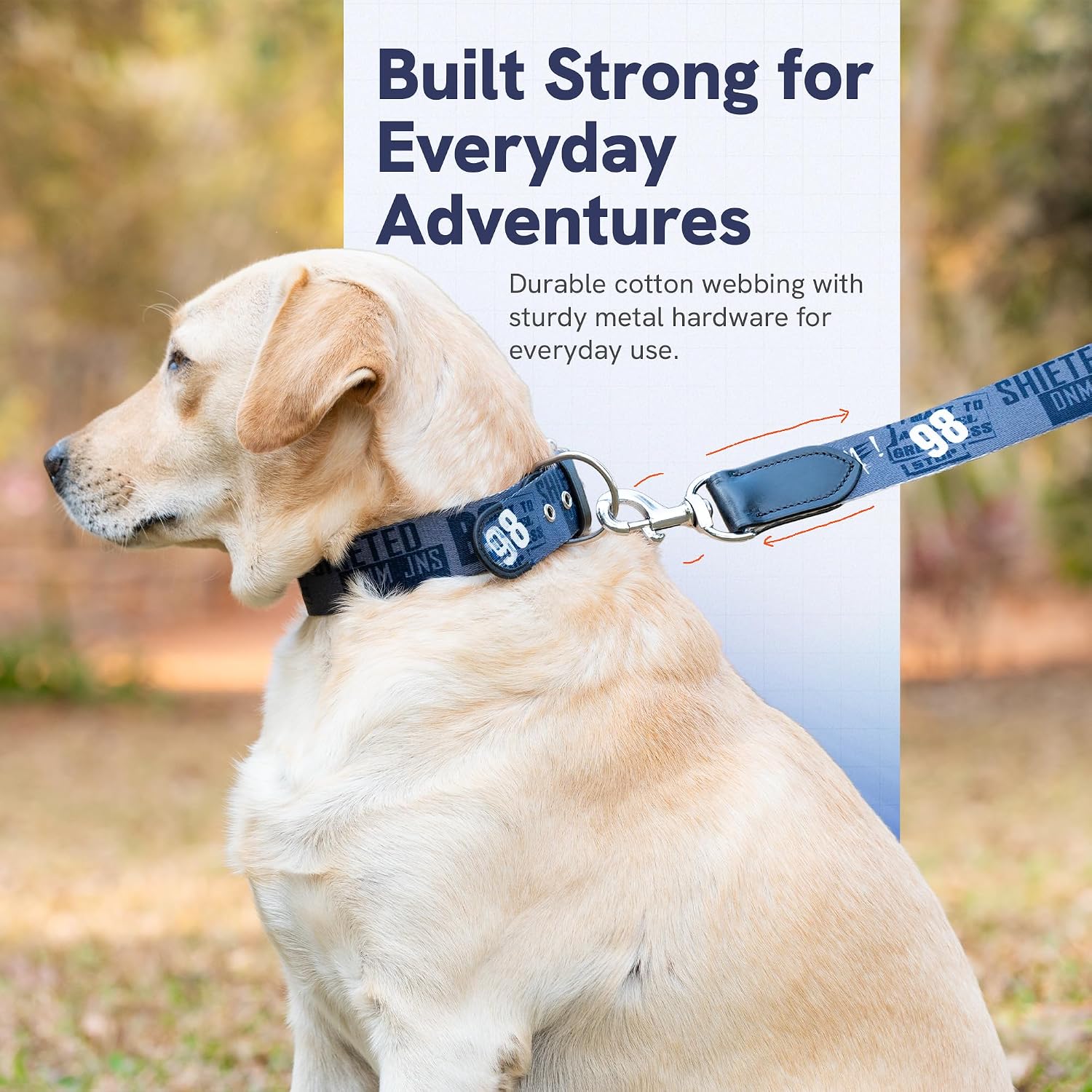 ADIL's Handcrafted Cotton Dog Collar – Premium Graffiti Printed Webbing Neckbelt with Heavy-Duty Metal Buckle & Strong D-Ring Adjustable Neckband for Small Medium Large Dogs