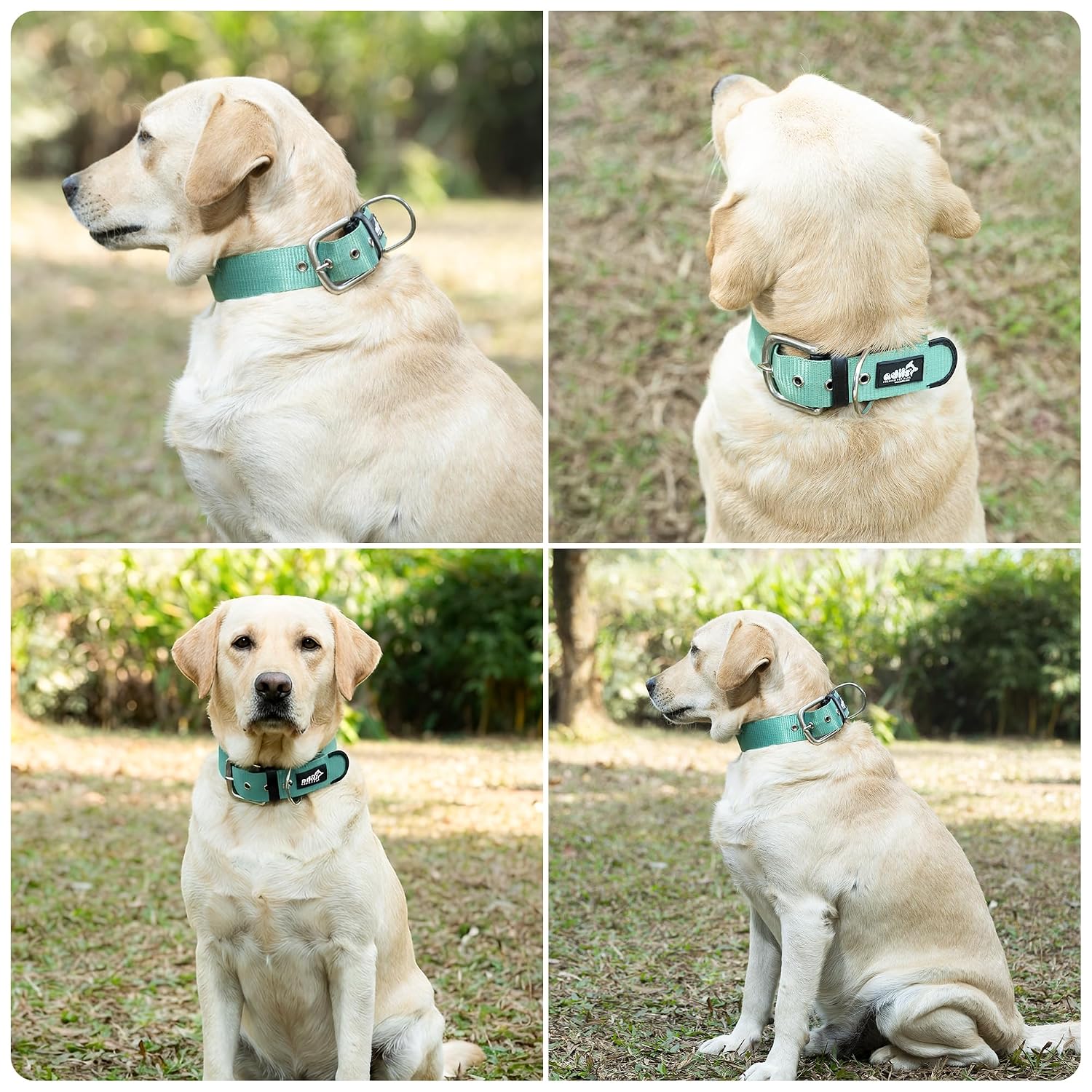 ADIL's Nylon Dog Collar – 1.5 Inch Wide Heavy-Duty Neckbelt with Metal Buckle D-Ring, Adjustable Safety Strap Small Medium Large Pets for Outdoor Walking Training