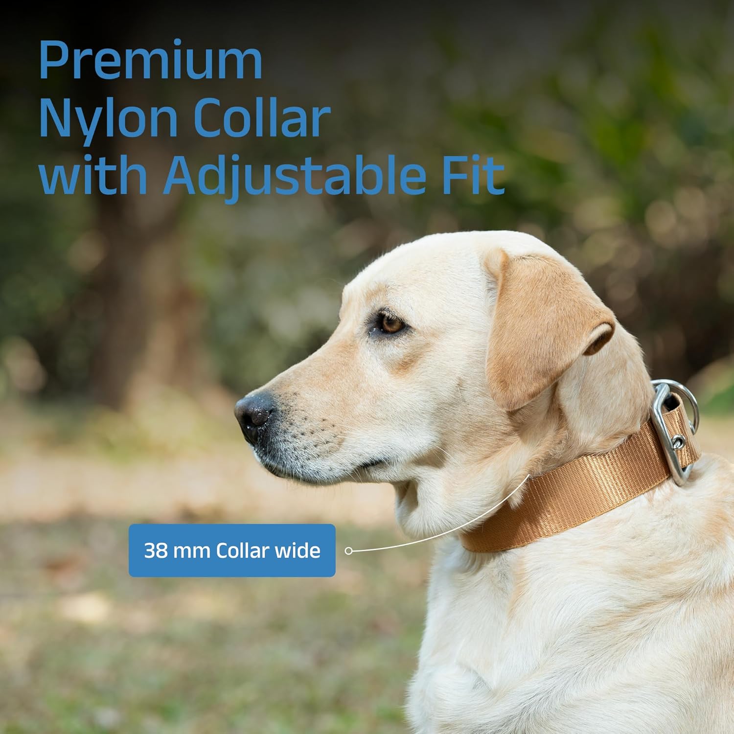 ADIL's Nylon Dog Collar – 1.5 Inch Wide Heavy-Duty Neckbelt with Metal Buckle D-Ring, Adjustable Safety Strap Small Medium Large Pets for Outdoor Walking Training (Beige, S)