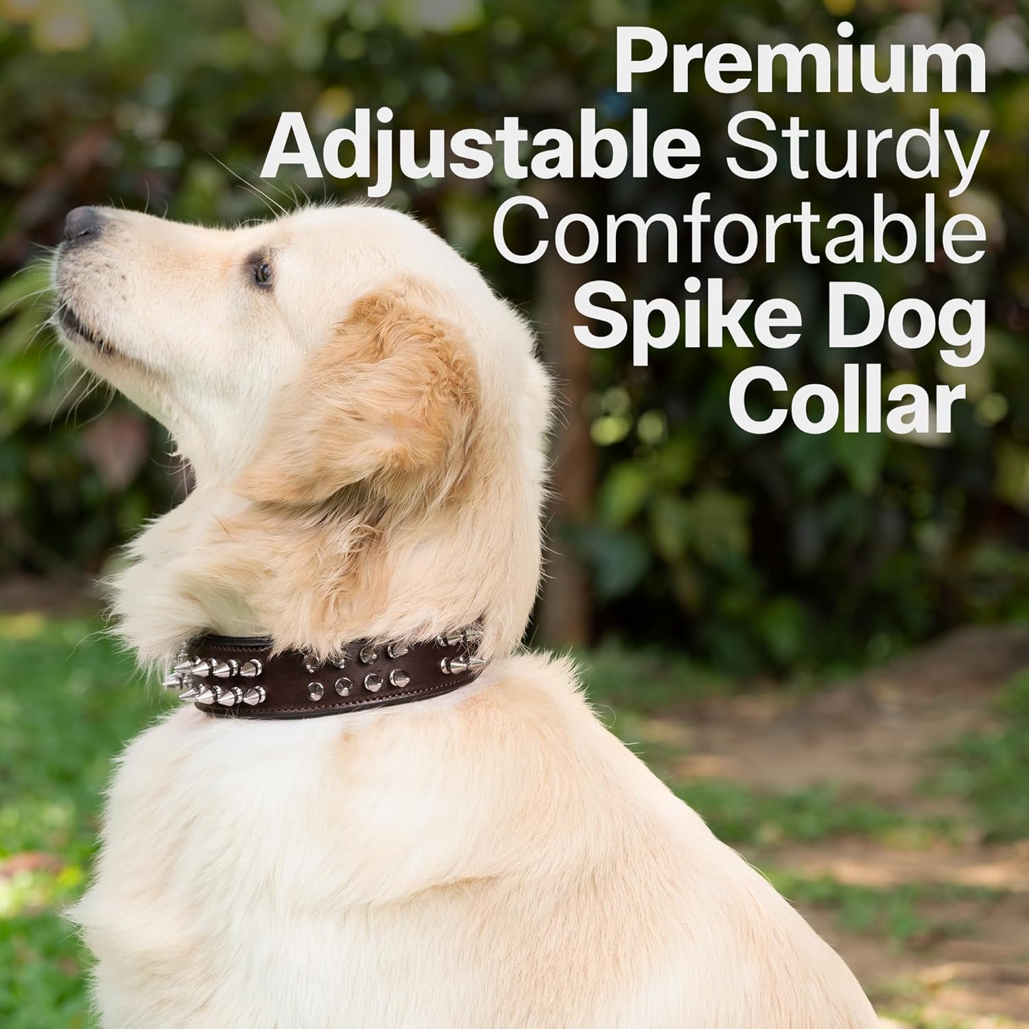 ADIL'S Leather Dog Collar With Spike, Adjustable Metal Buckle Studded Collars For Small, Medium, & Large Dog With D Ring, Width: 38Mm