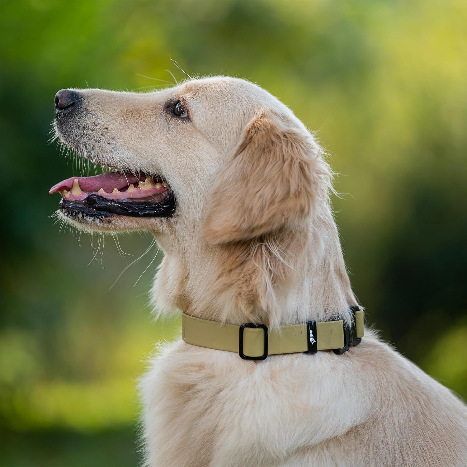 Adil’S Biothane Dog Collar - Waterproof Heavy Duty Dog Collars with Quick Release Buckle & D-Ring