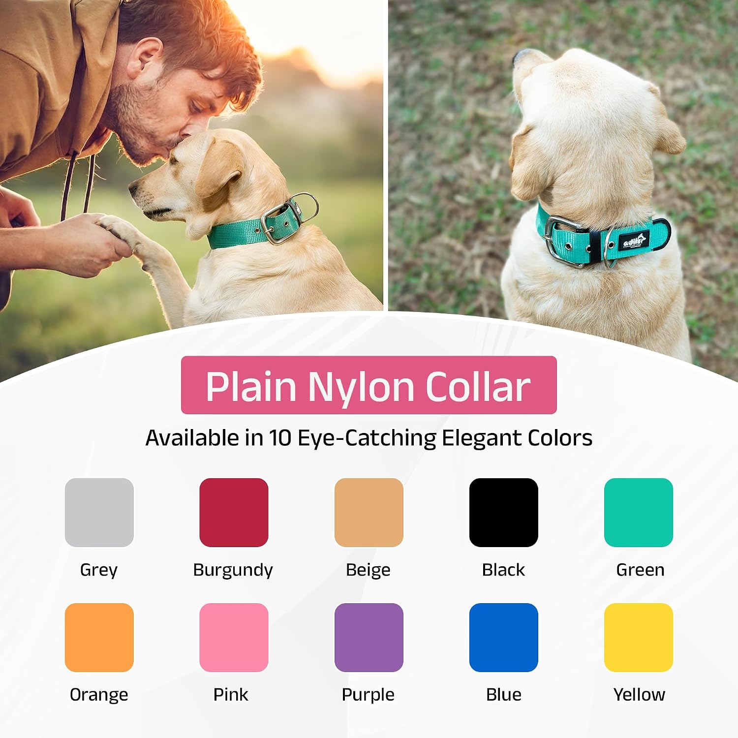 ADIL's Nylon Dog Collar – 1.5 Inch Wide Heavy-Duty Neckbelt with Metal Buckle D-Ring, Adjustable Safety Strap Small Medium Large Pets for Outdoor Walking Training