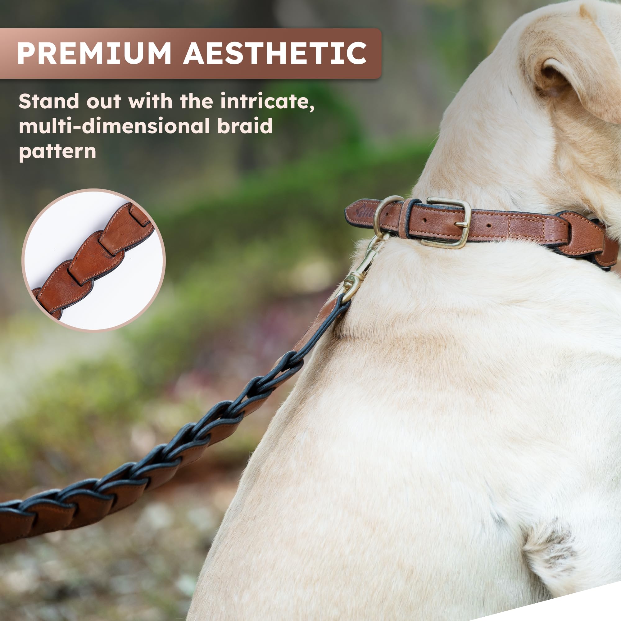 Adil's Premium Softy Leather Dog Leash 5ft Long 1 Inch Wide Braided Leash with Loop Handle 360° Golden Swivel Hook Strong D-Ring Durable Walking Training Lead for Small Medium Large Pets