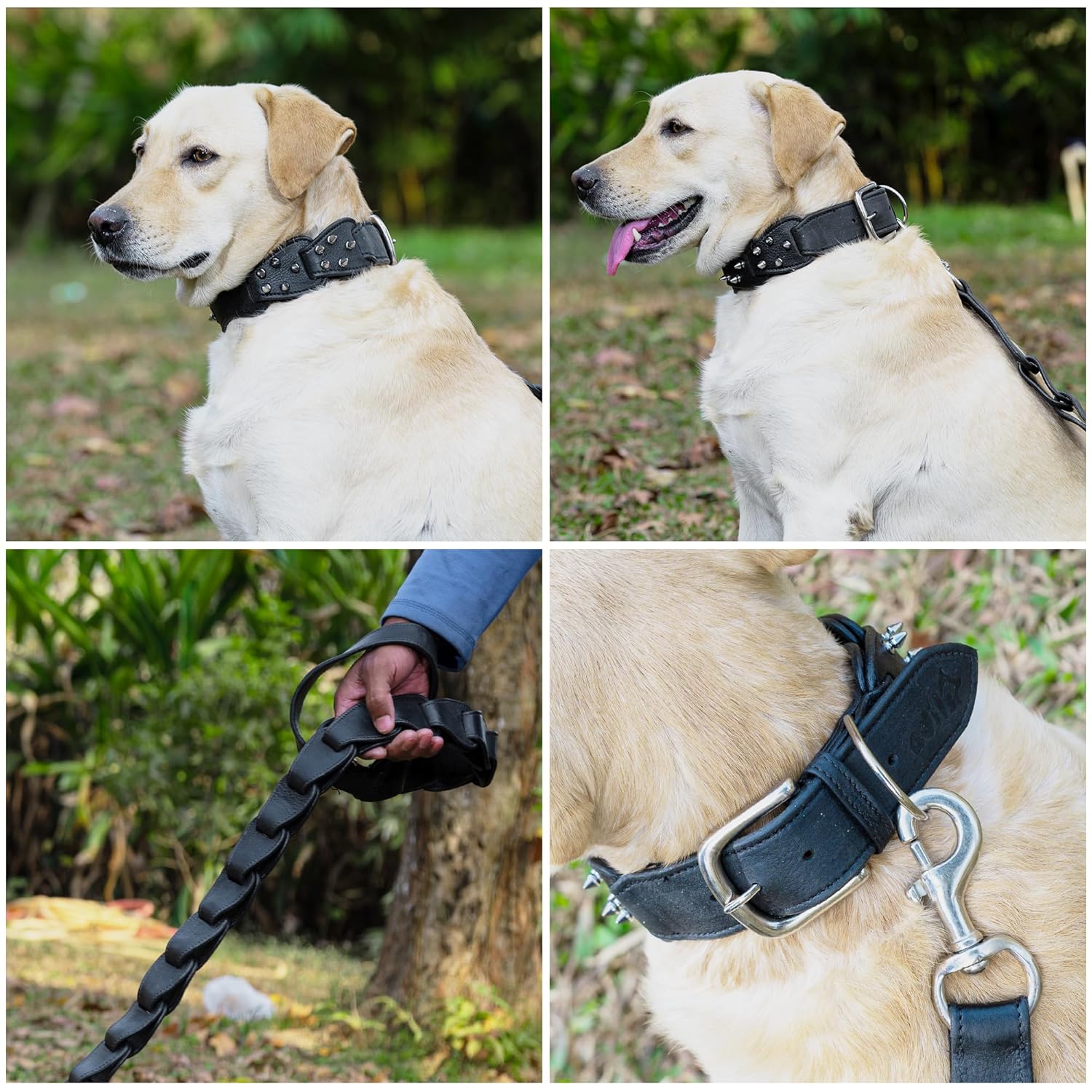 Adil’s Personalized Leather Loop Spike Dog Collar & Leash Combo Set 1.5" Wide Adjustable Neckbelt Metal Buckle D-Ring 5Ft Leather Heavy Duty Loop Cord with 360 Swivel Hook for Training Walking