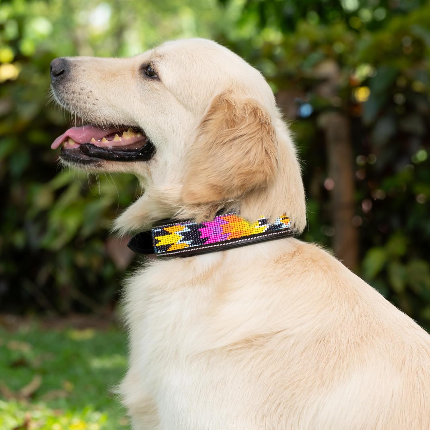 Adil’S Beaded Leather Dog Collar 1.5 Inch Width, Hand Tooled Adjustable Beaded Dog Collars with Strong Metal Buckle & D-Ring Suitable Dogs