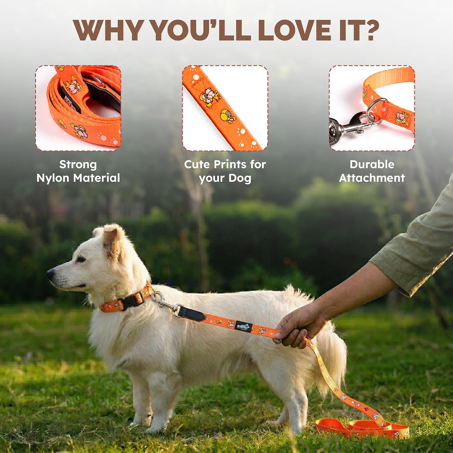 Adil's Nylon Paw Print Dog Collar & Leash Combo Set Quick Release Buckle 360° Swivel Hook Leather Accents 0.75 Inch Collar 5Ft Lead Walking Training for Small Medium Pets