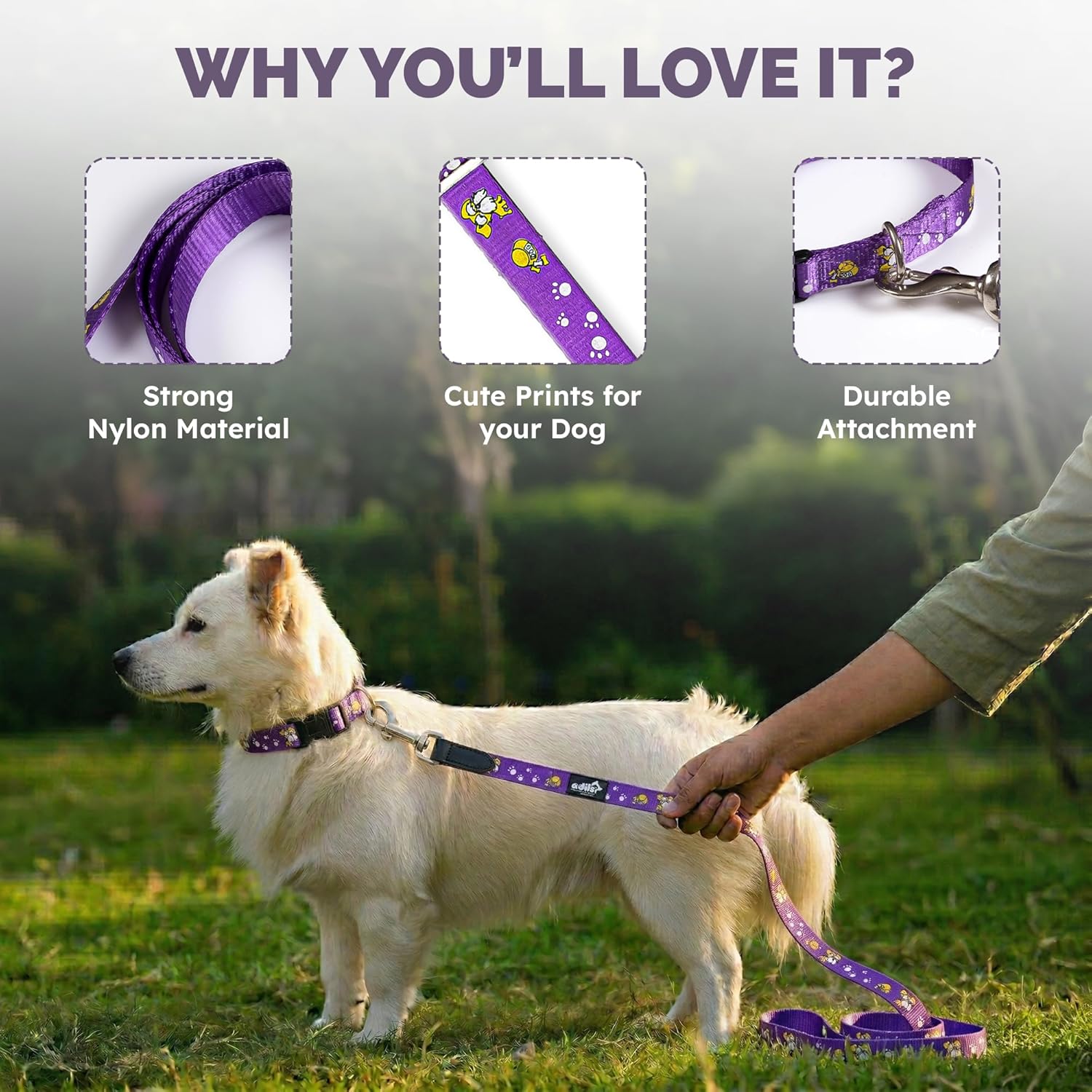 Adil's Nylon Paw Print Dog Collar & Leash Combo Set Quick Release Buckle 360° Swivel Hook Leather Accents 0.75 Inch Collar 5Ft Lead Walking Training for Small Medium Pets