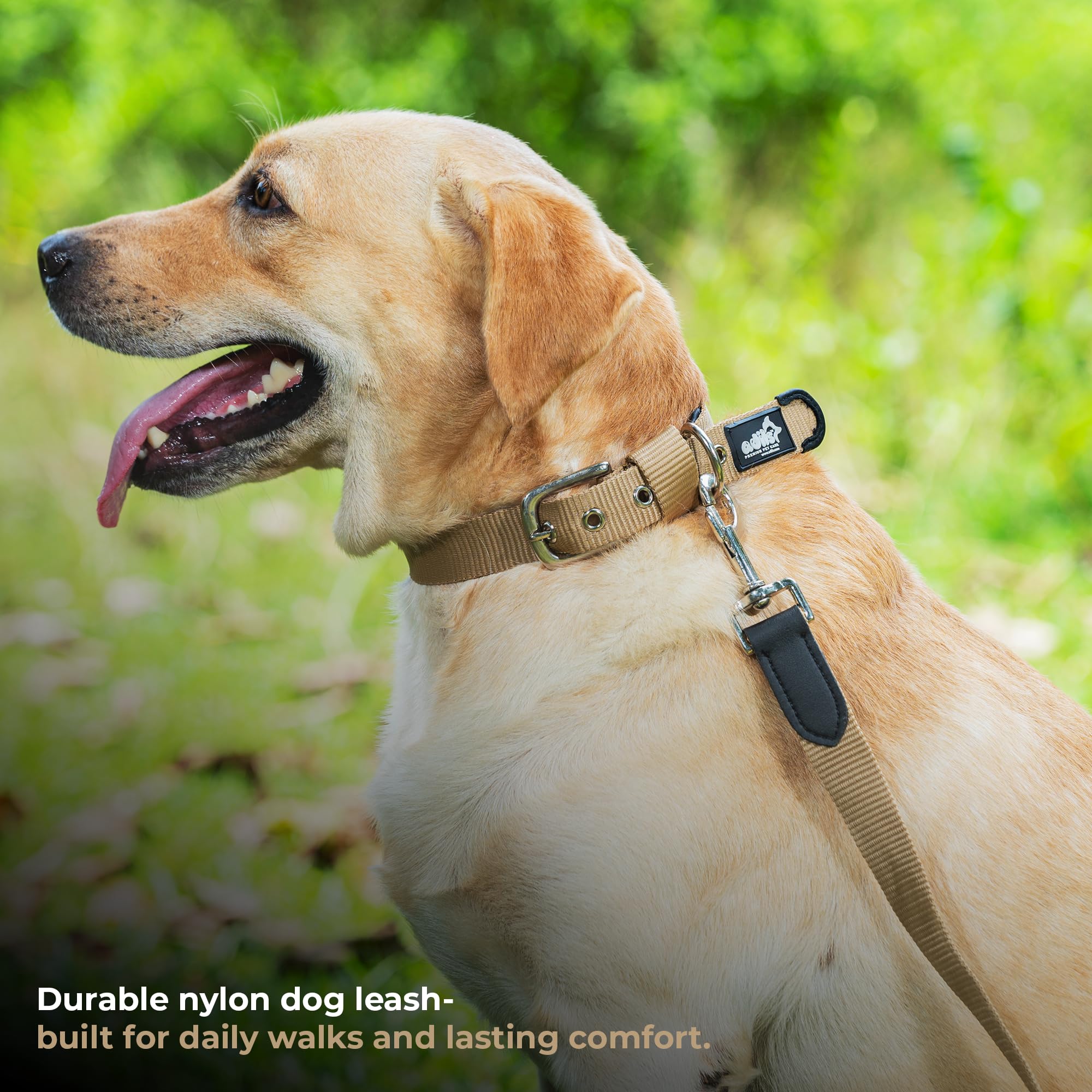 Adil’s 5FT Adjustable Nylon Dog Leash with Soft Leather Handle – Durable Long Lead with 360° Swivel Hook – Strong, Tangle-Free Leash for Walking & Training Small, Medium & Large Dogs