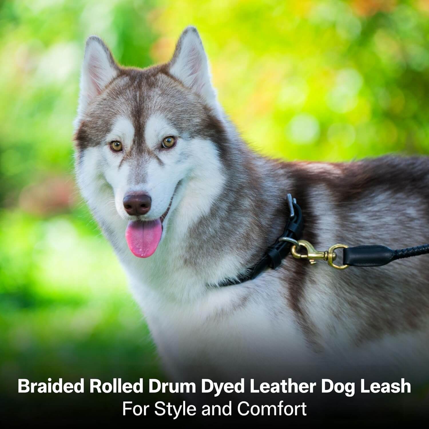 Adil’S Braided Rolled Drum Dyed Leather Dog Leash with 360 Degree Rotating Clasp 5 FT Long, Non-Slip Grip Handle, Suitable for Large & Medium Dogs