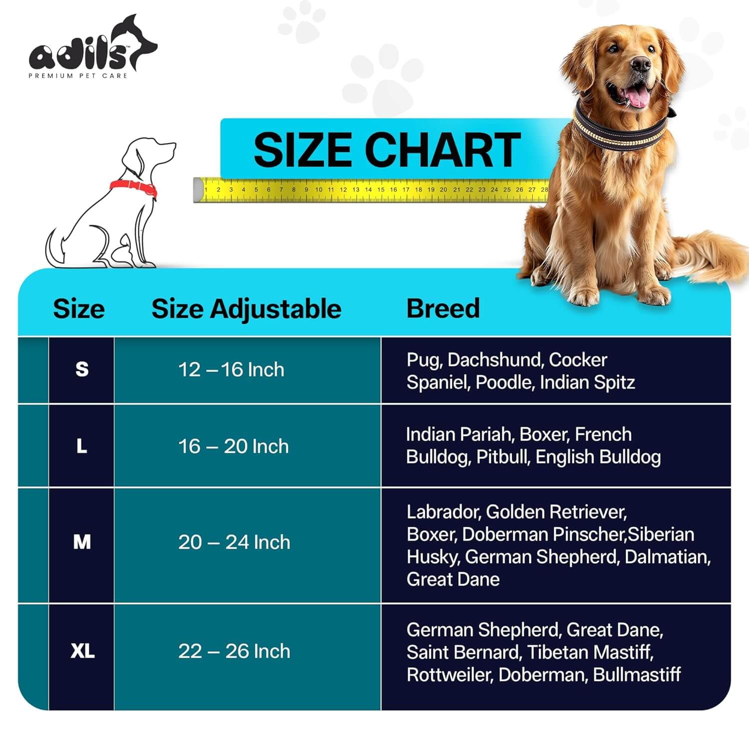 Adil's Genuine Leather 1.5" Mid Chain Dog Collar for Medium to Large Dogs