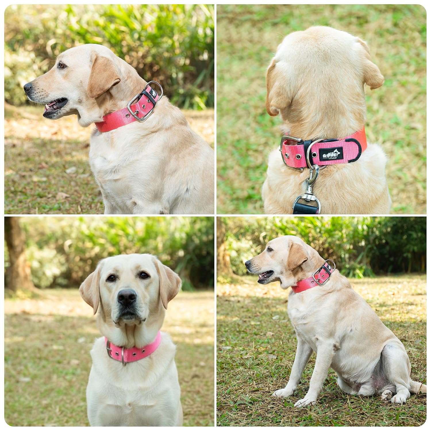 ADIL's Nylon Dog Collar – 1.5 Inch Wide Heavy-Duty Neckbelt with Metal Buckle D-Ring, Adjustable Safety Strap Small Medium Large Pets for Outdoor Walking Training