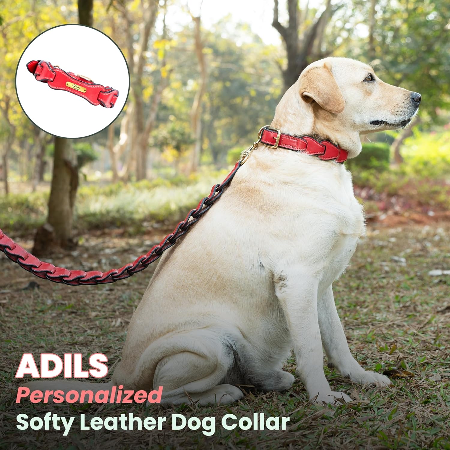 Adil's Leather Personalized Dog Collar (Softy Leather) – 1.5 Inch Wide