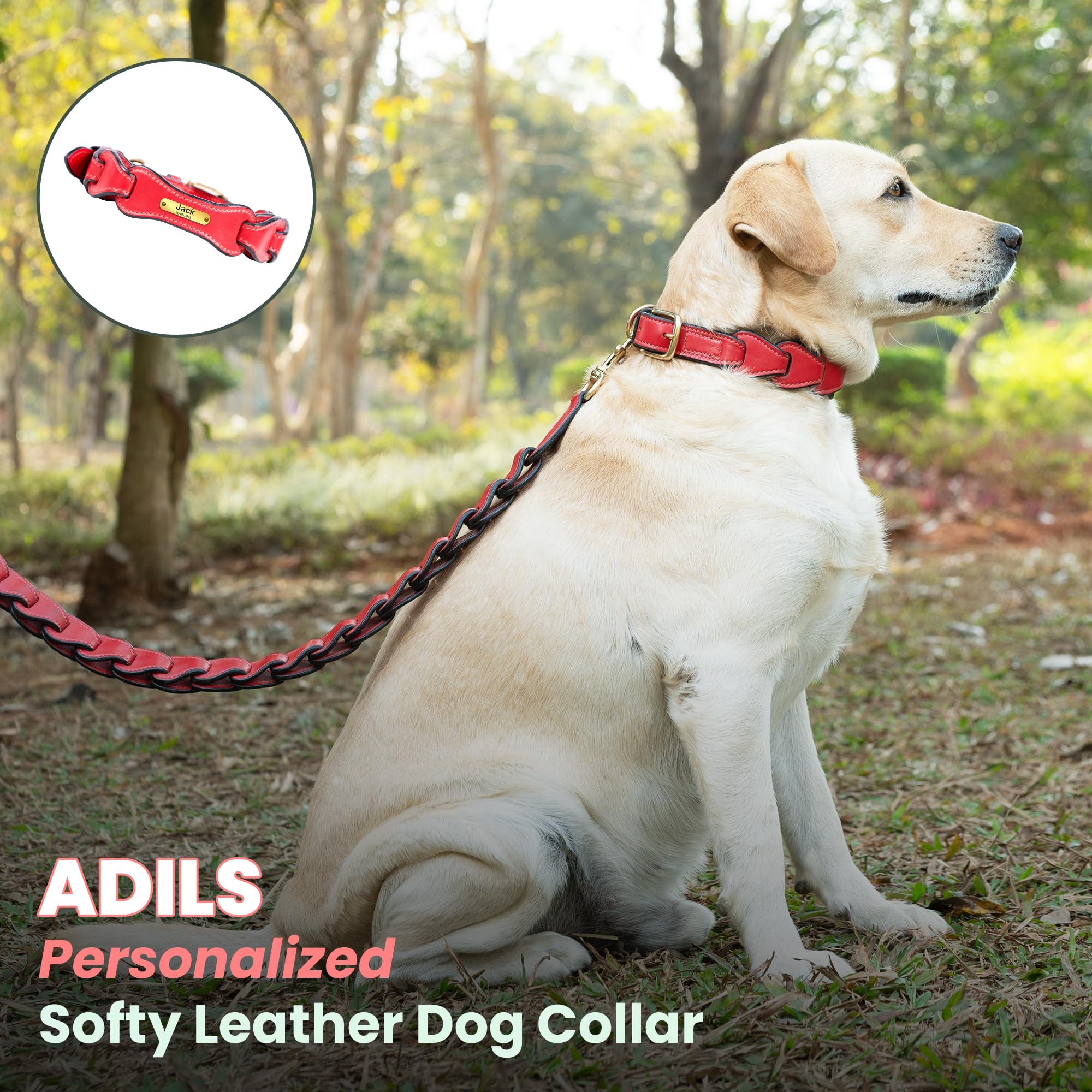 Adil’S Soft Leather Personalized Dog Collar for Large Medium Small Dogs Neck Collar with Personalized Dog Name in Neck Size 12 Inch to 26 Inch