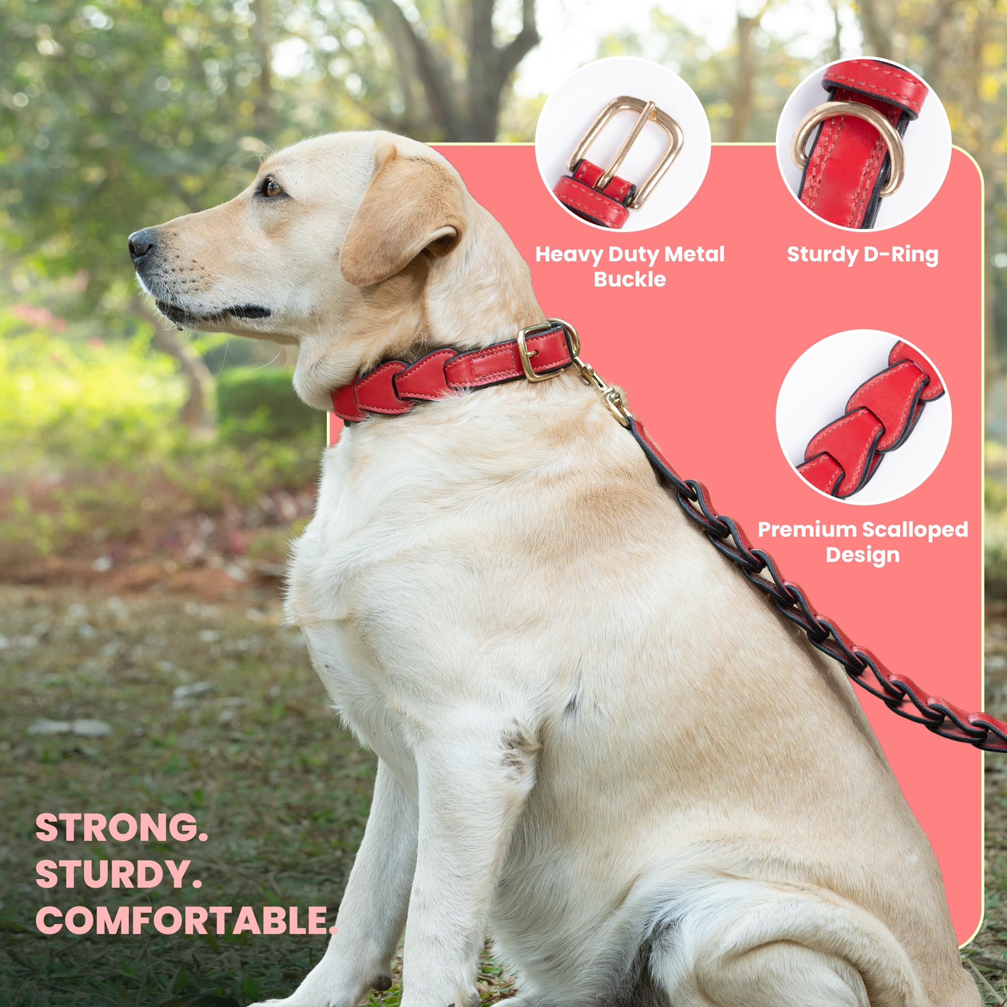 Adil’S Soft Leather Personalized Dog Collar for Large Medium Small Dogs Neck Collar with Personalized Dog Name in Neck Size 12 Inch to 26 Inch