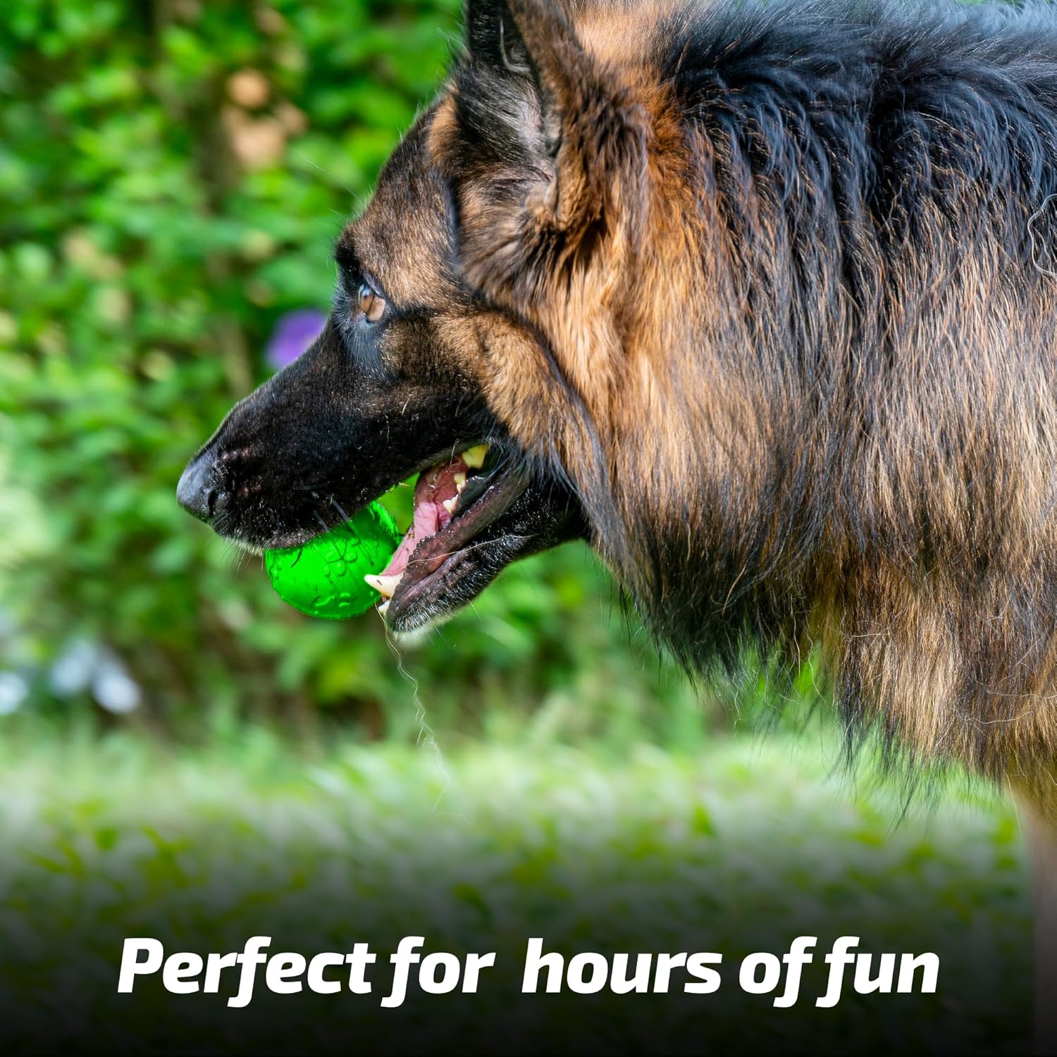 ADIL'S Natural Latex Dog Chews Ball Toy for Small to Medium Dogs & Puppies