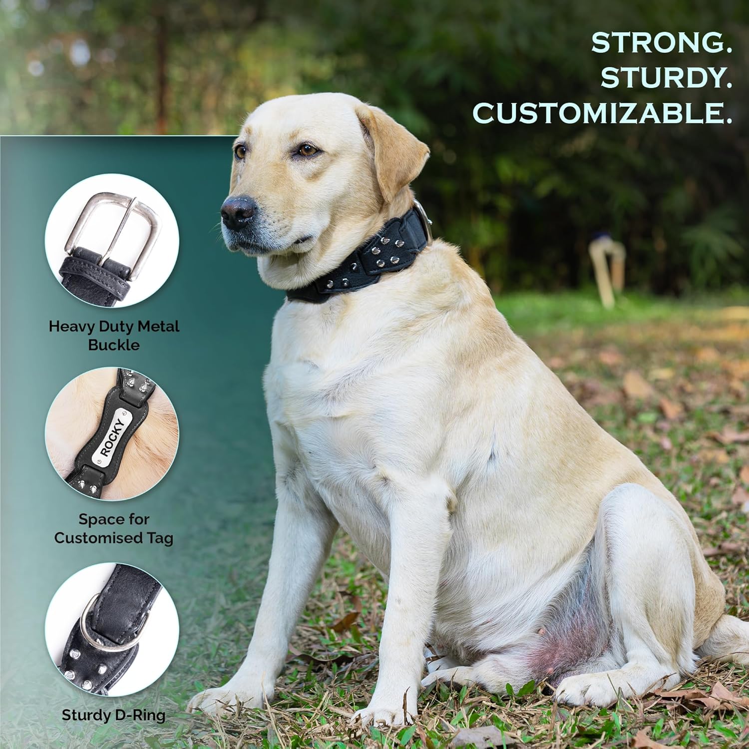 Adil's Personalized Softy Premium Leather Spiked Dog Collar – 1.5 Inch Wide Loop Design Heavy Duty Soft Padded Neckbelt, Sturdy Stainless Steel Buckle & D-Ring for Small, Medium & Large Pets