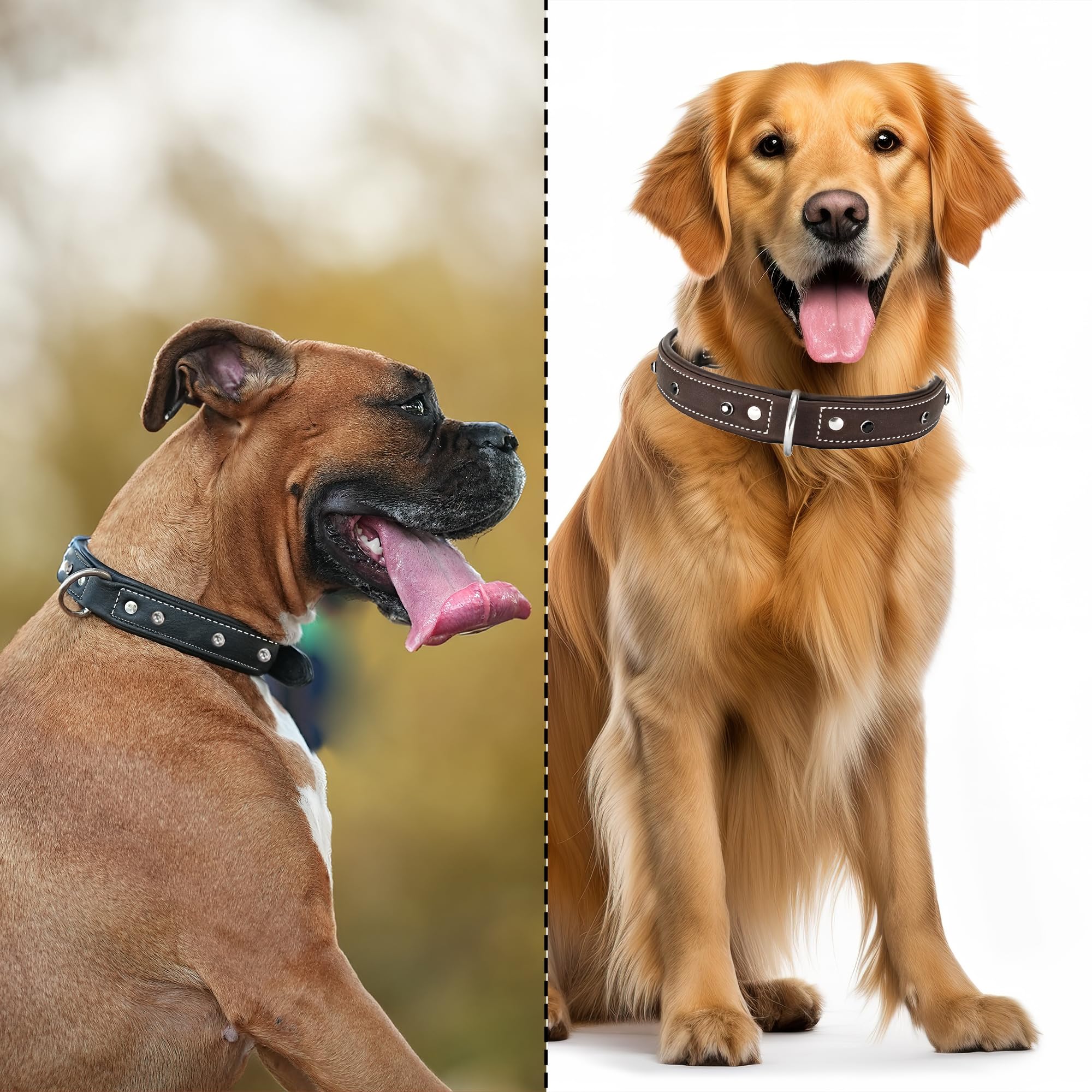Adil’S Black Studded Softy Leather Dog Collar 1inch Width Suitable for Small, Medium & Large Dogs with Strong Metal Buckle & D-Ring for leashes, Size: S to XL, Brown (S, Black Stud)