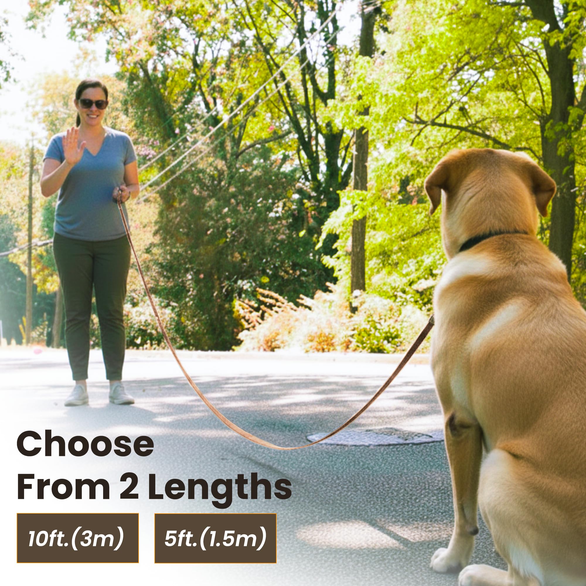 Adil’s 10FT Adjustable Dog Leash Features a Soft Leather Handle, Strong Nylon, and a 360° Swivel Hook—Durable, Comfy, and Ideal for Small to Large Dogs.
