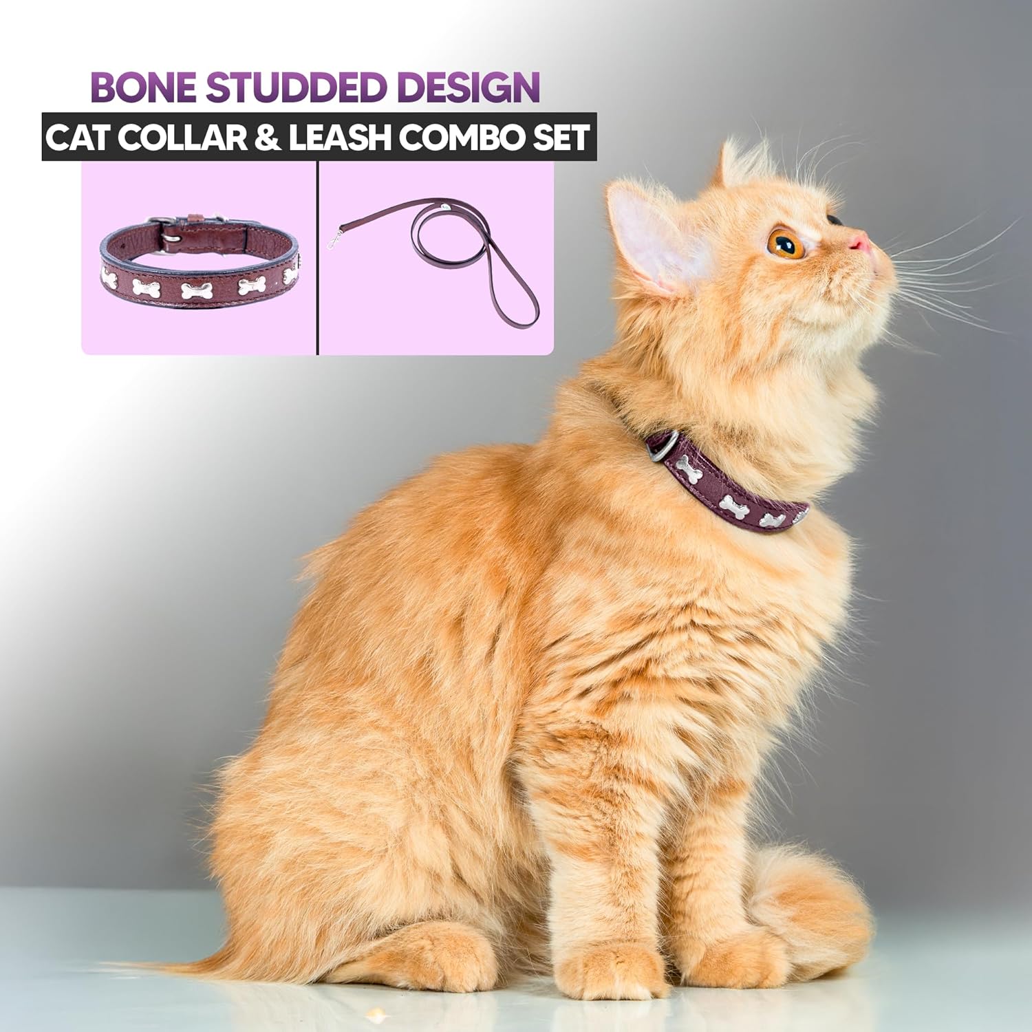 Adil’S Leather Cat Collar & Leash Set - Stylish Six Bone Studded Design Collar, Genuine Leather, Adjustable Buckle & Secure 5ft Leash for Safe and Comfortable Outdoor Activity (Brown)