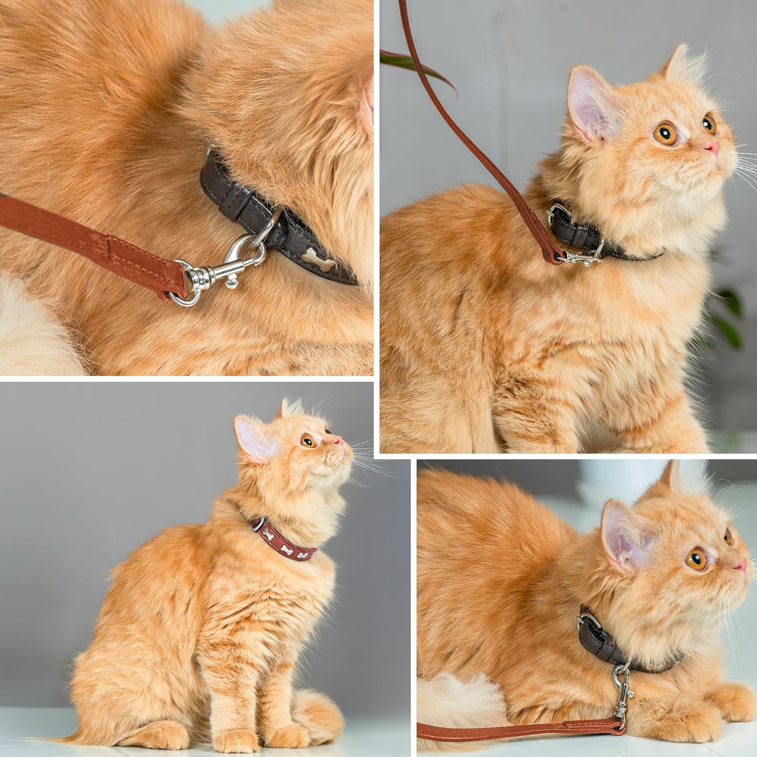 Adil’S Leather Cat Collar & Leash Set - Stylish Six Bone Studded Design Collar, Genuine Leather, Adjustable Buckle & Secure 5ft Leash for Safe and Comfortable Outdoor Activity (Brown)