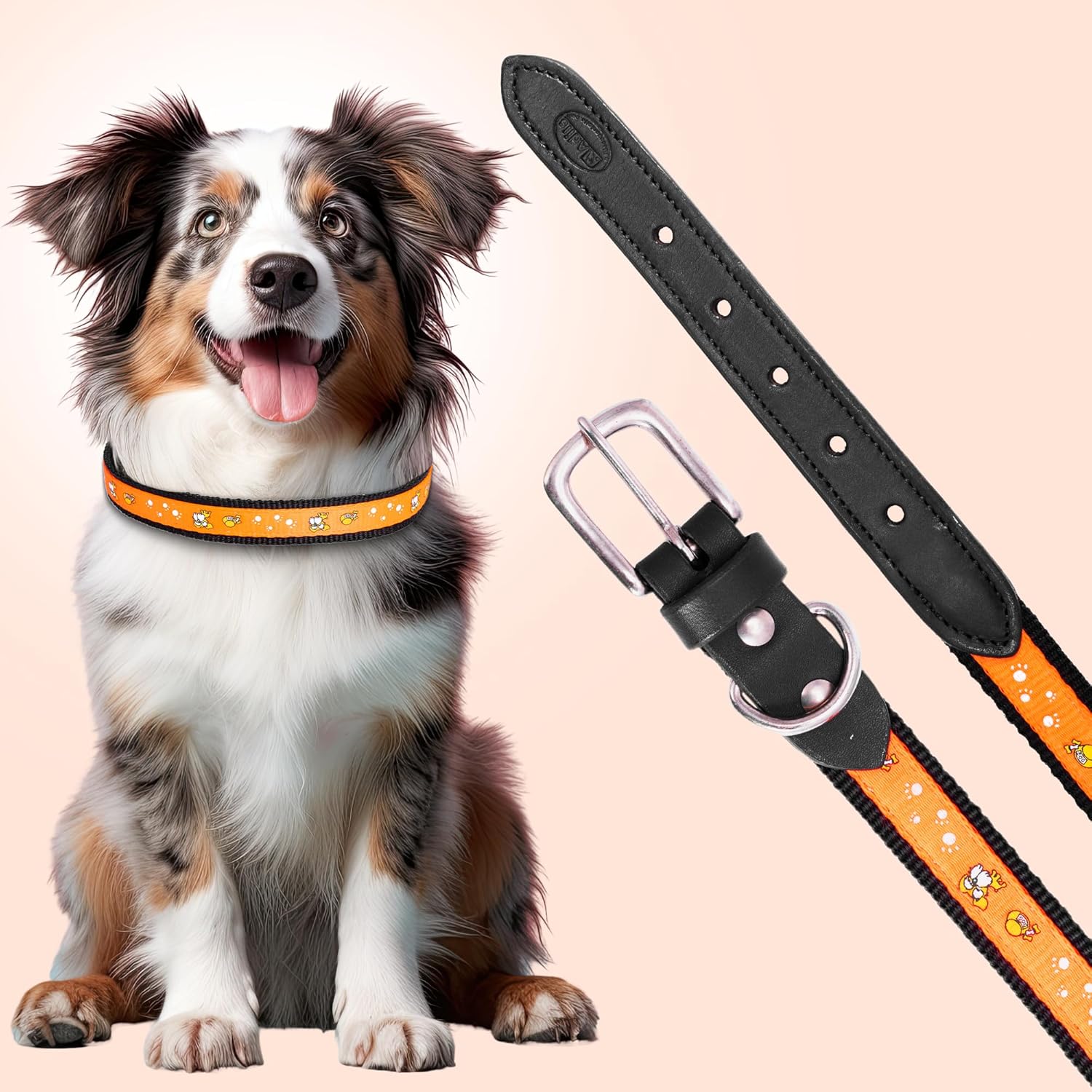 Nylon Dog Collar with Paw Print, Adjustable Metal Buckle