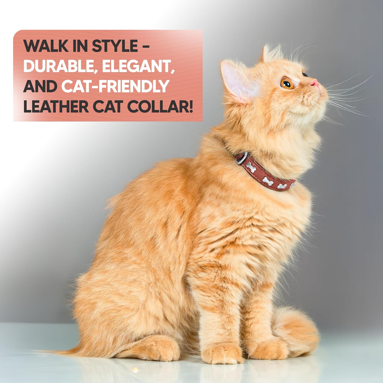 Adil’S Leather Cat Collar - Stylish Six Bone Studded Design, Breakaway Soft pet Collar, Adjustable Metal Buckle with Strong D-Ring for Leash attachments,Comfortable & Secure (Black)