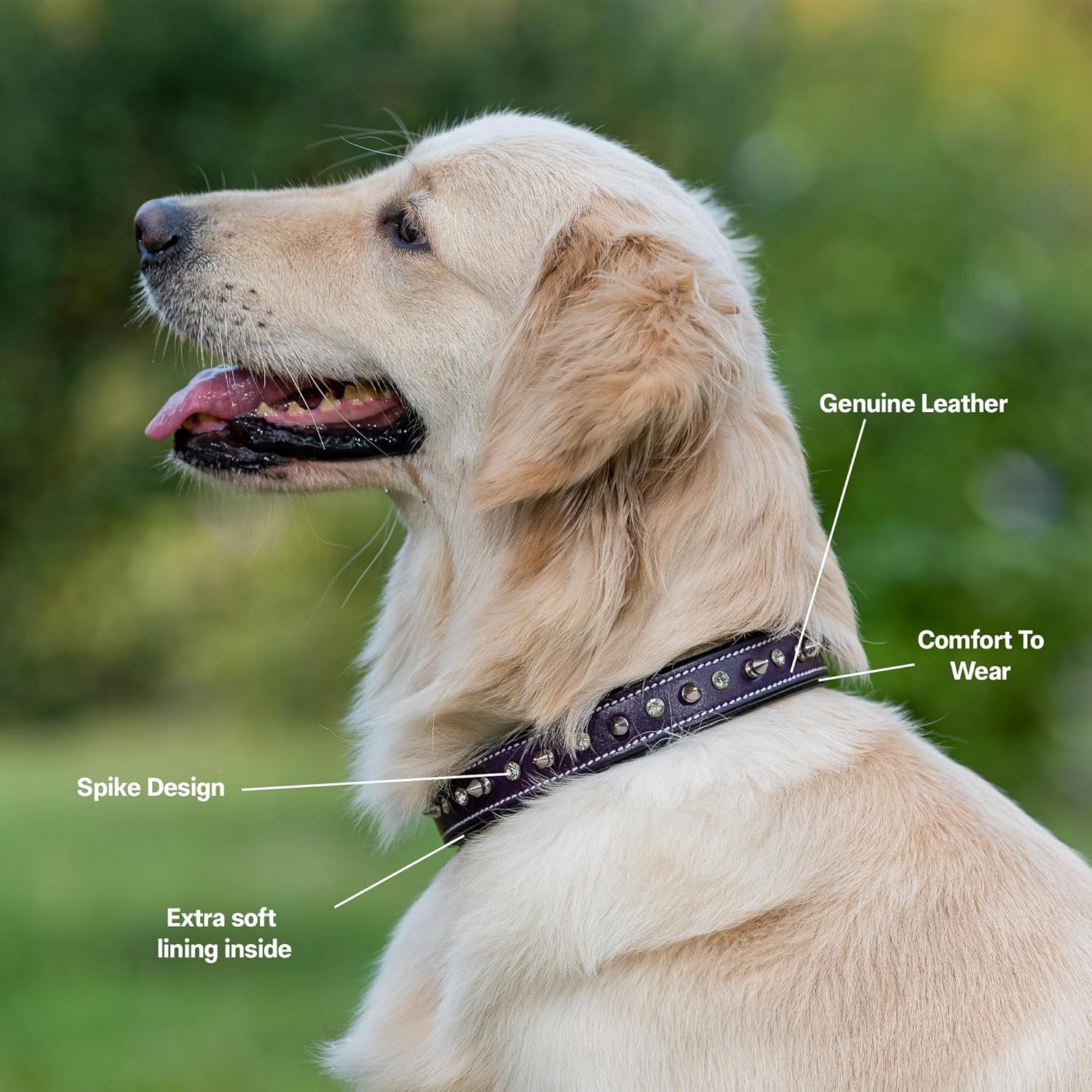 Adil’S Leather Spike Studded Dog Collar – Adjustable Pet Collar for Small, Medium, Large Dogs Durable & Stylish for Pitbulls, Bulldogs, Mastiffs & Guard Dogs