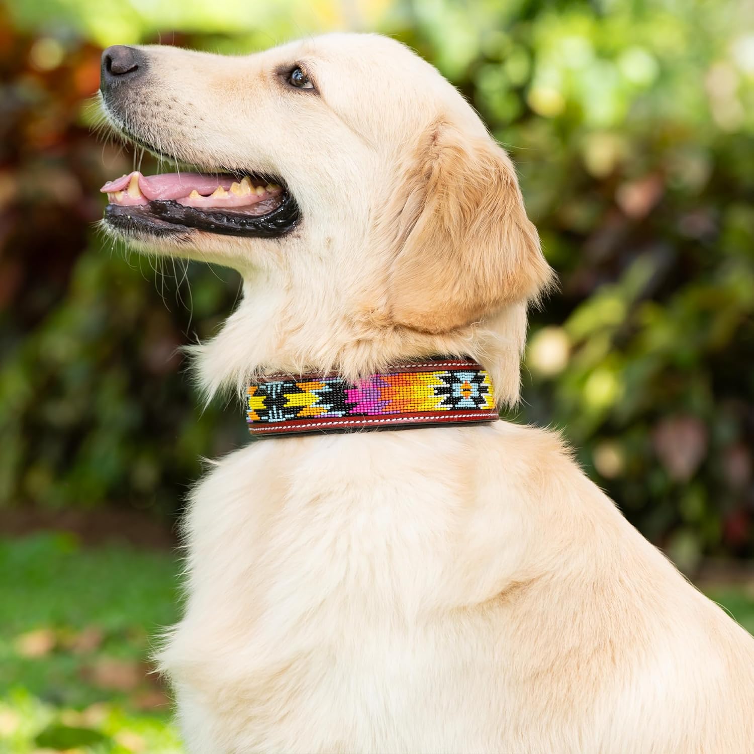 Adil’S Beaded Leather Dog Collar 1.5 Inch Width, Hand Tooled Adjustable Beaded Dog Collars with Strong Metal Buckle & D-Ring Suitable Dogs