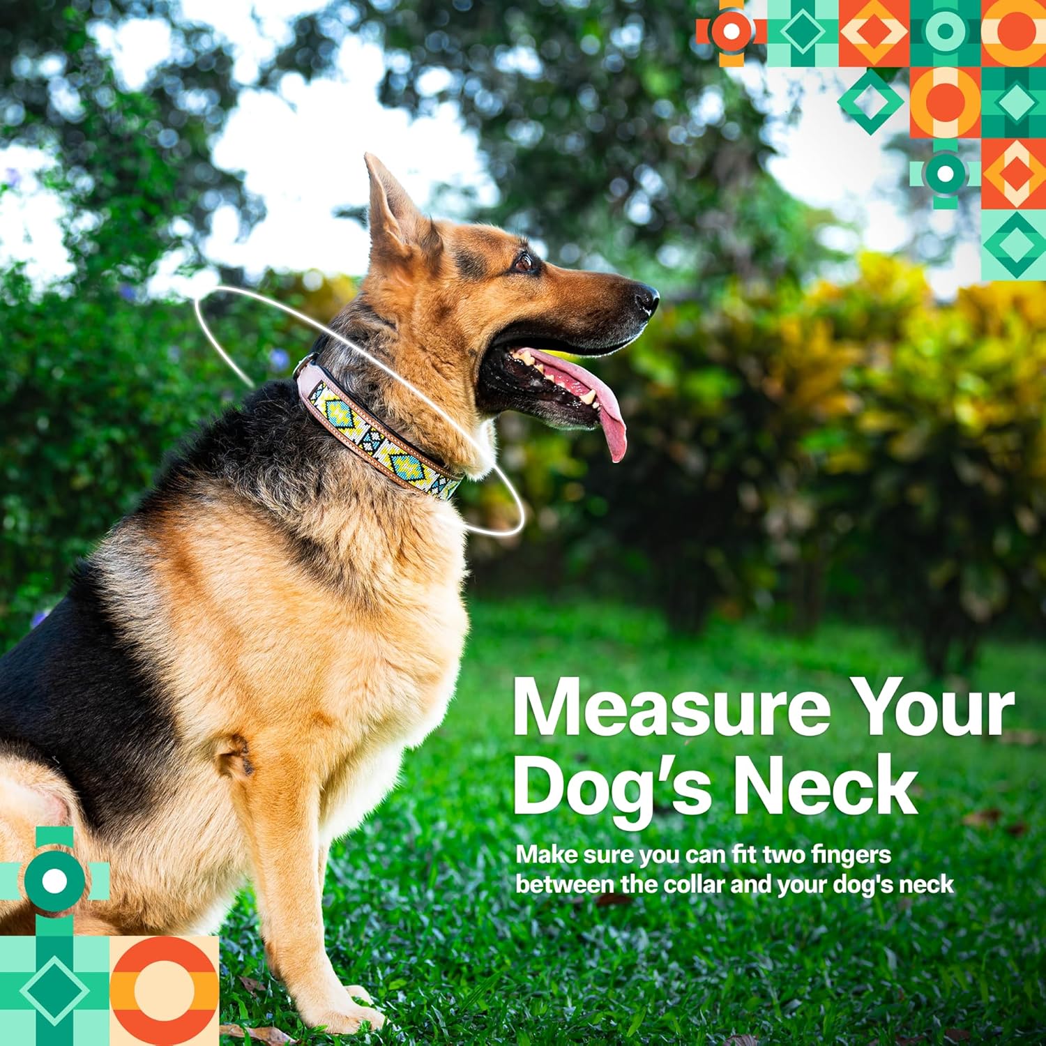 Adil’S Beaded Leather Dog Collar 1.5 Inch Width, for Small, Medium & Large Dogs, Hand Tooled Adjustable Beaded Dog Collars with Strong Metal Buckle & D-Ring