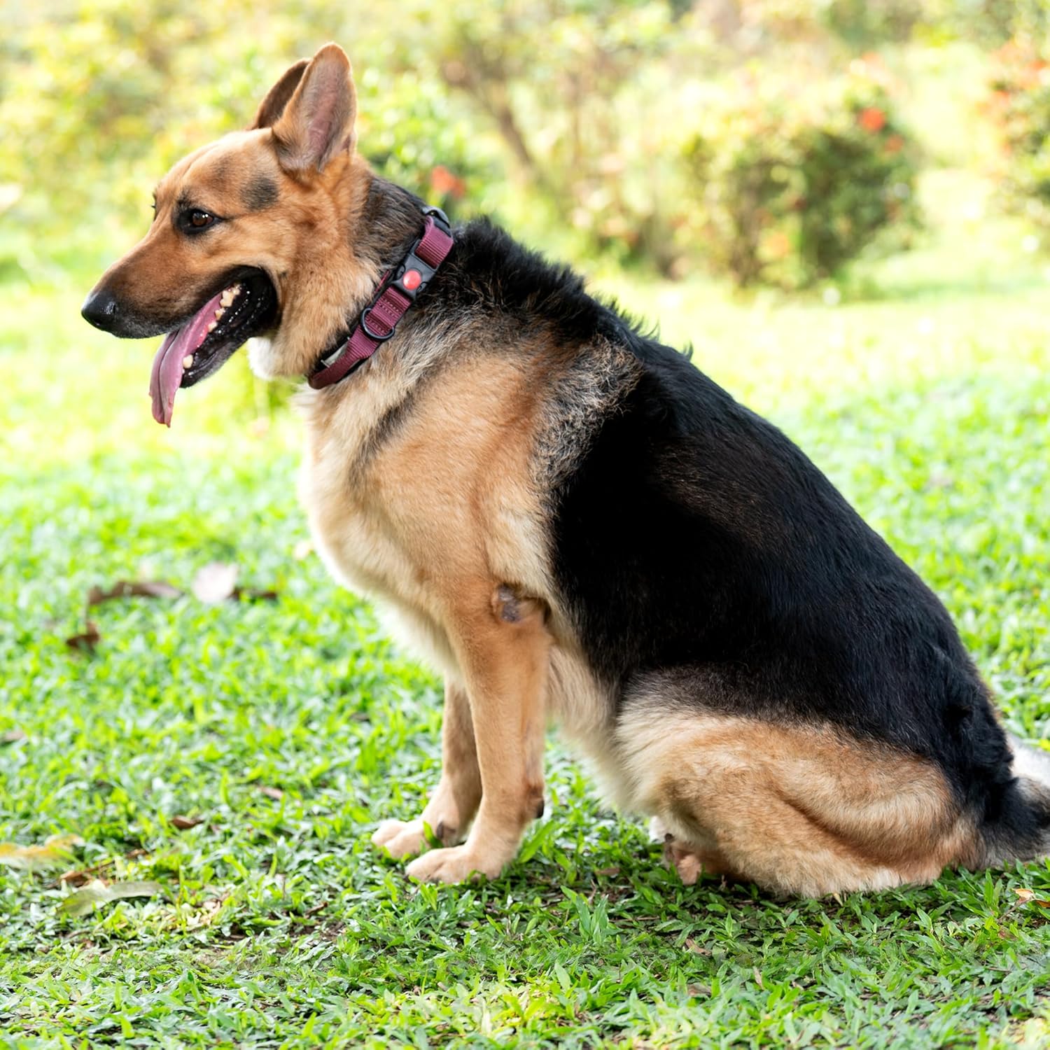 Adil’S Adjustable Nylon Tactical Dog Collar for Large &amp; Medium Dogs, with Strap Handle &amp; Heavy Duty Metal Buckle, Strong Metal D-Ring, Neck Size (12 to 26) inches, Pink