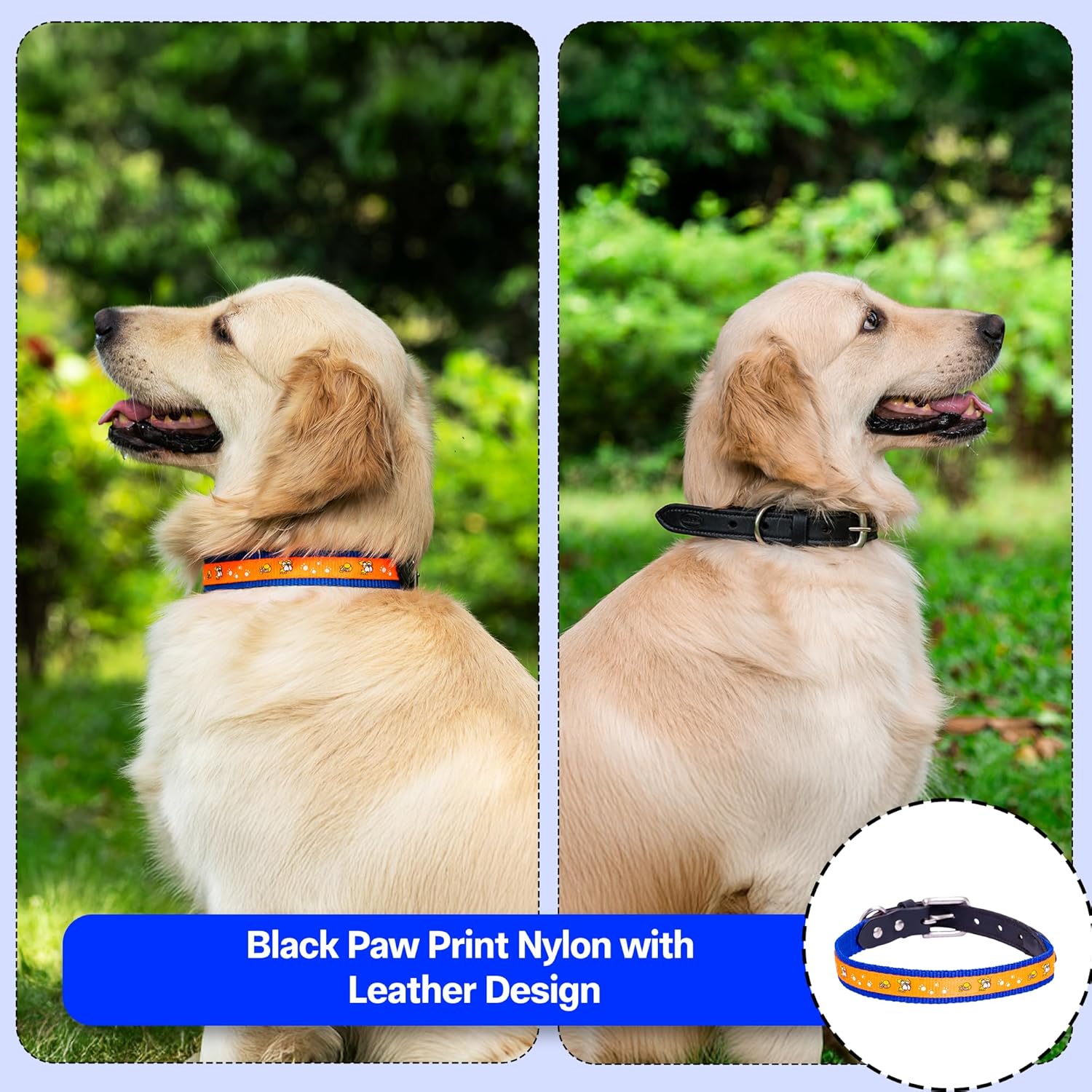 Nylon Dog Collar with Paw Print, Adjustable Metal Buckle