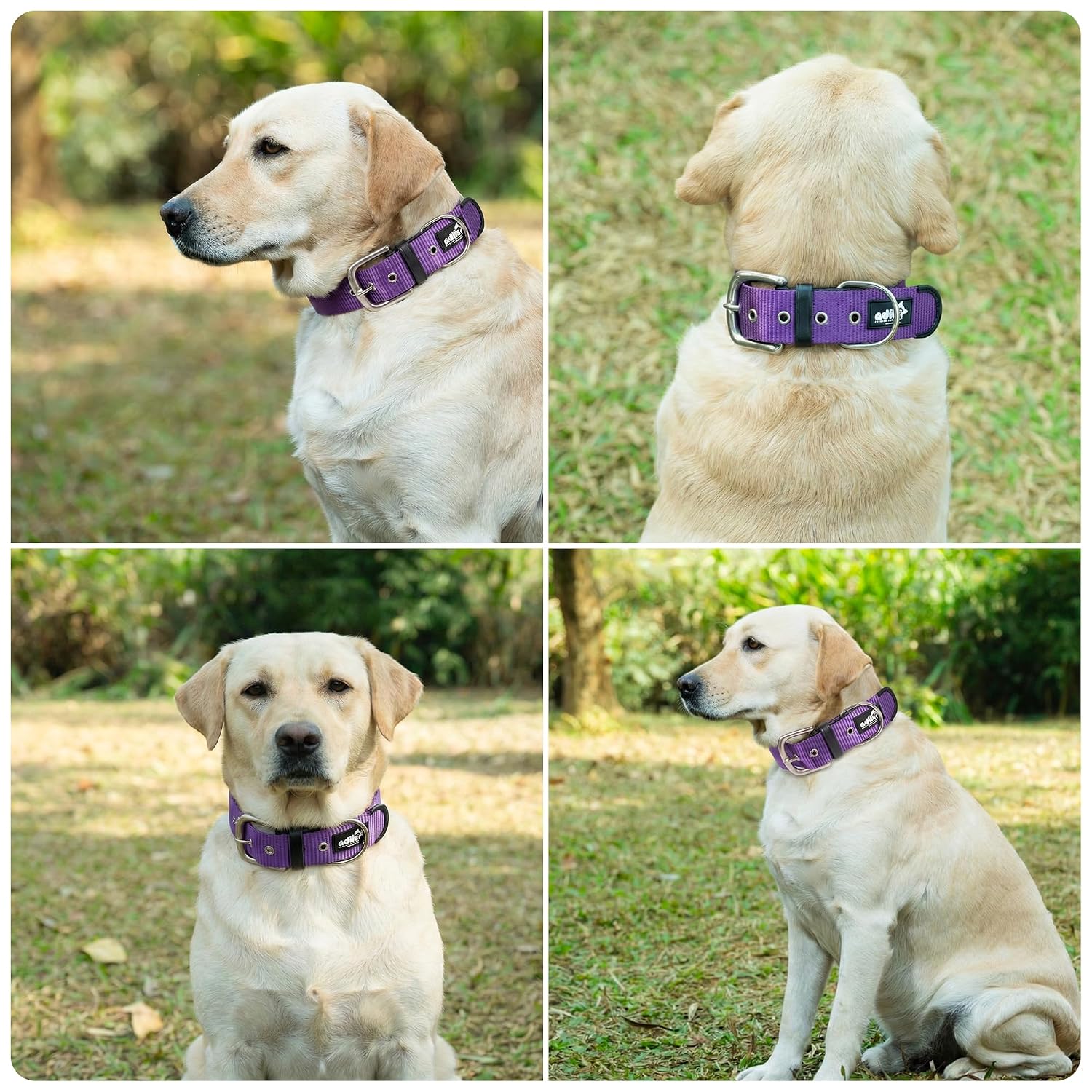 ADIL's Nylon Dog Collar – 1.5 Inch Wide Heavy-Duty Neckbelt with Metal Buckle D-Ring, Adjustable Safety Strap Small Medium Large Pets for Outdoor Walking Training
