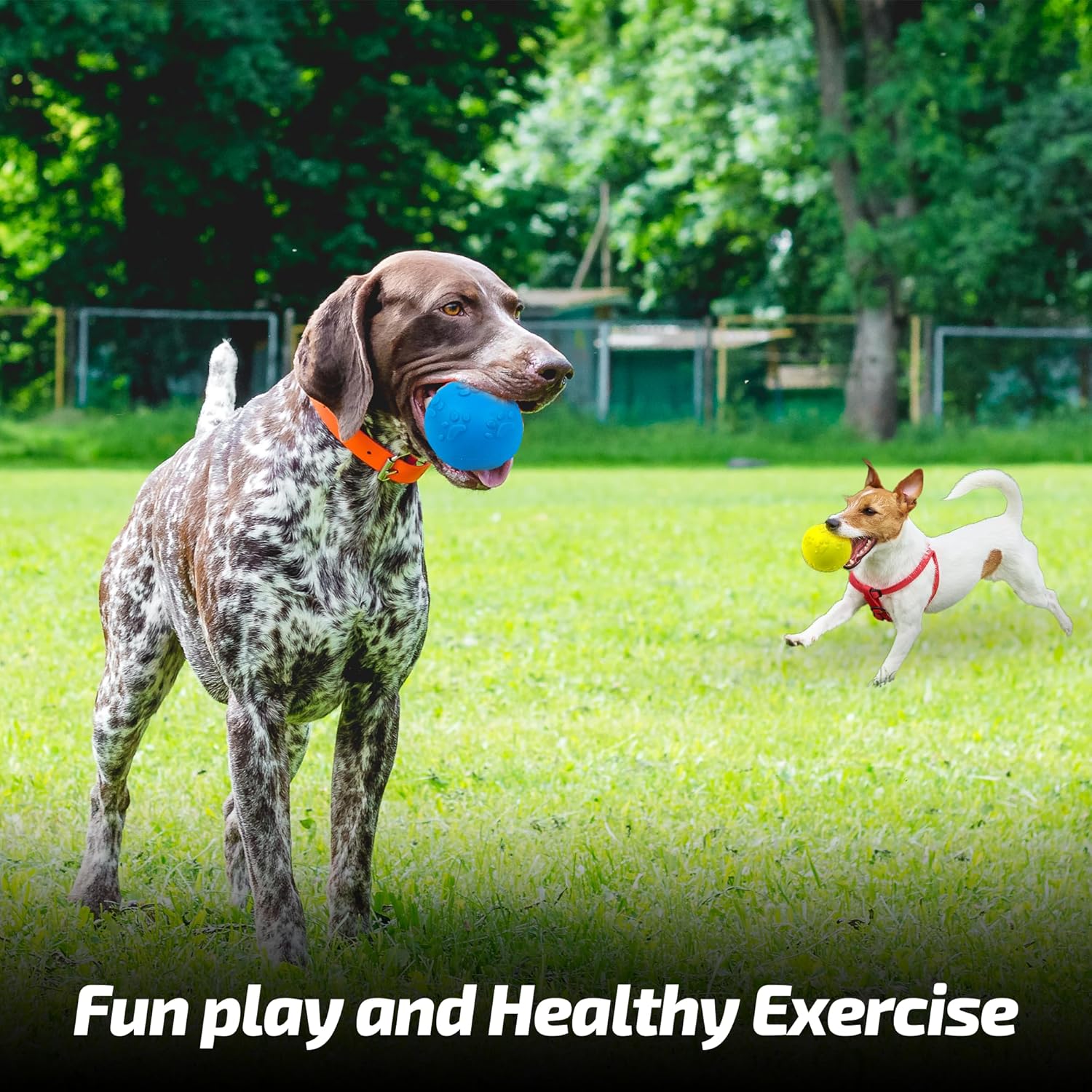 ADIL'S Natural Latex Dog Chews Ball Toy for Small to Medium Dogs & Puppies