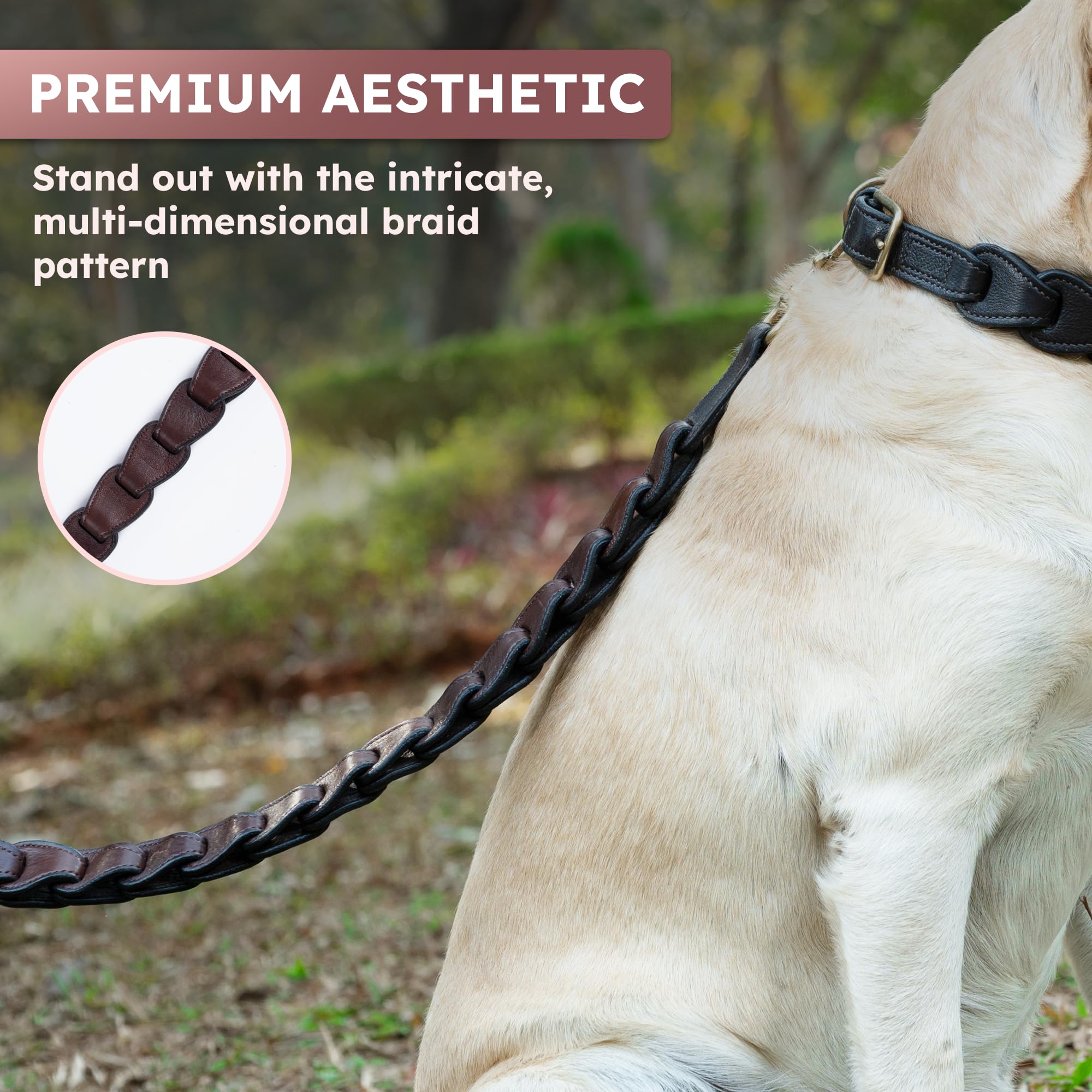 Adil's Premium Softy Leather Dog Leash 5ft Long 1 Inch Wide Braided Leash with Loop Handle 360° Golden Swivel Hook Strong D-Ring Durable Walking Training Lead for Small Medium Large Pets