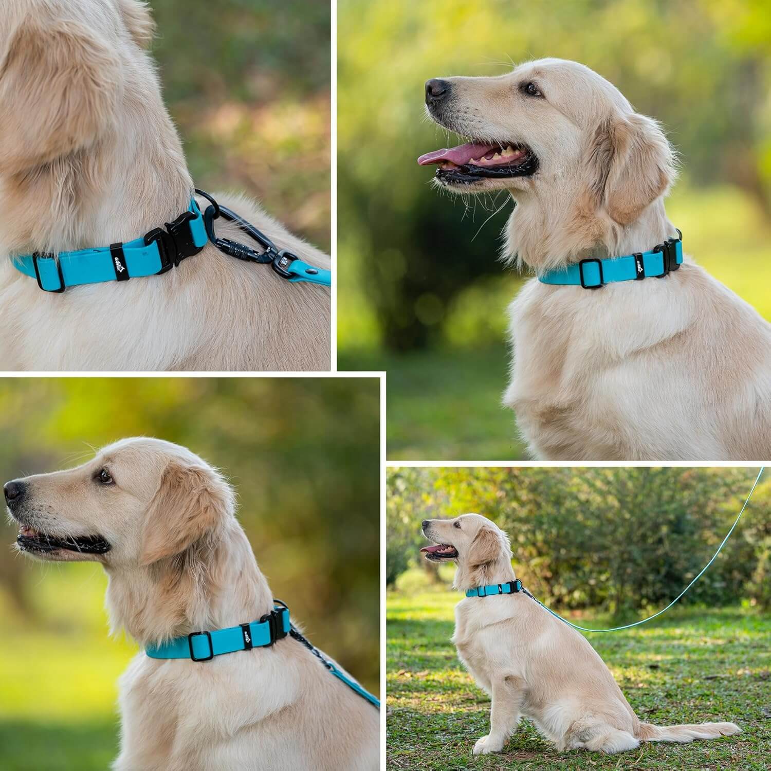 Biothane Combo Dog Collar & Leash
