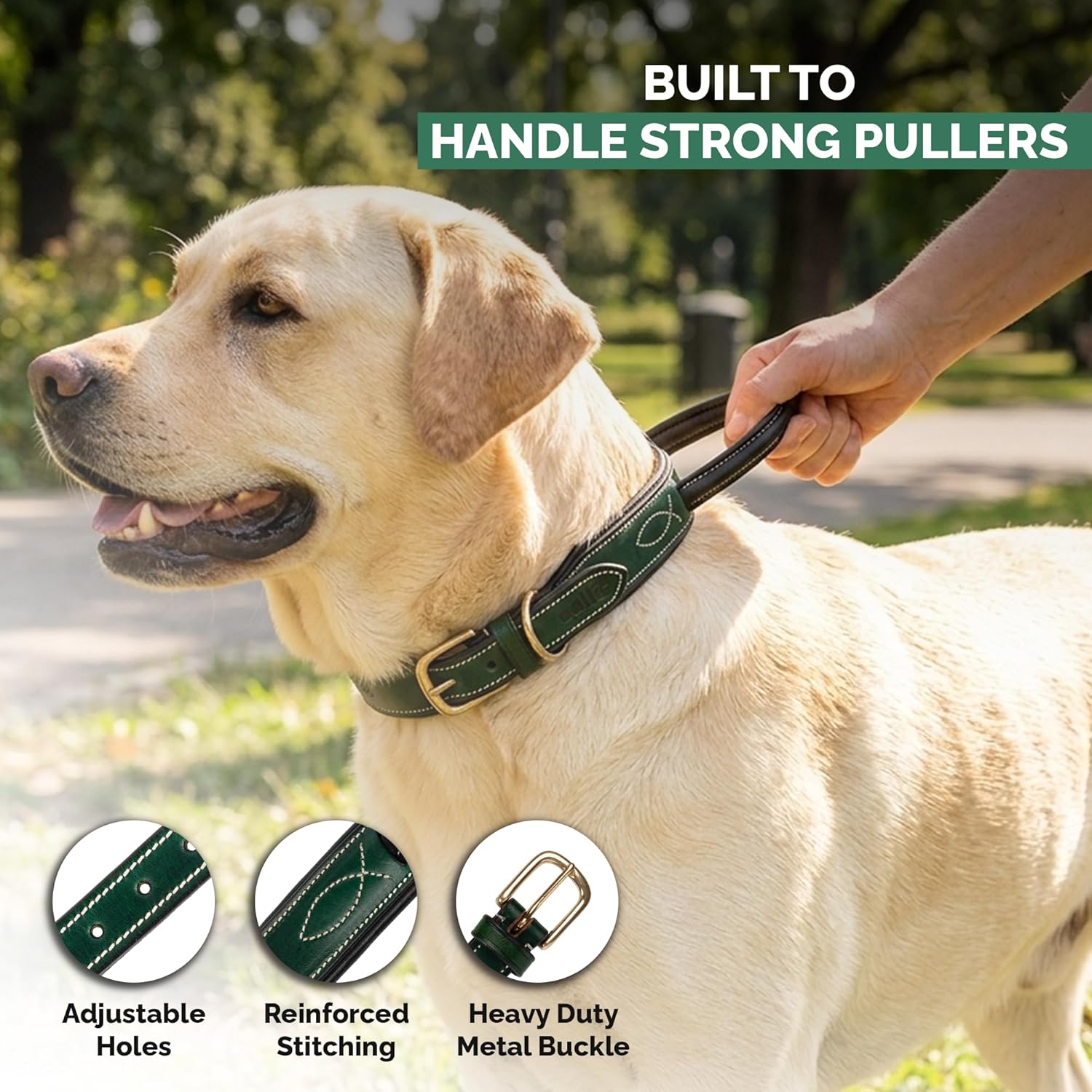 Adil's Softy Leather Dog Collar with Control Handle 1.5 inch Wide Built-in Quick Grab Leather Pull Strap, Heavy Duty Dual D-Ring Neckbelt for Medium & Large Dogs