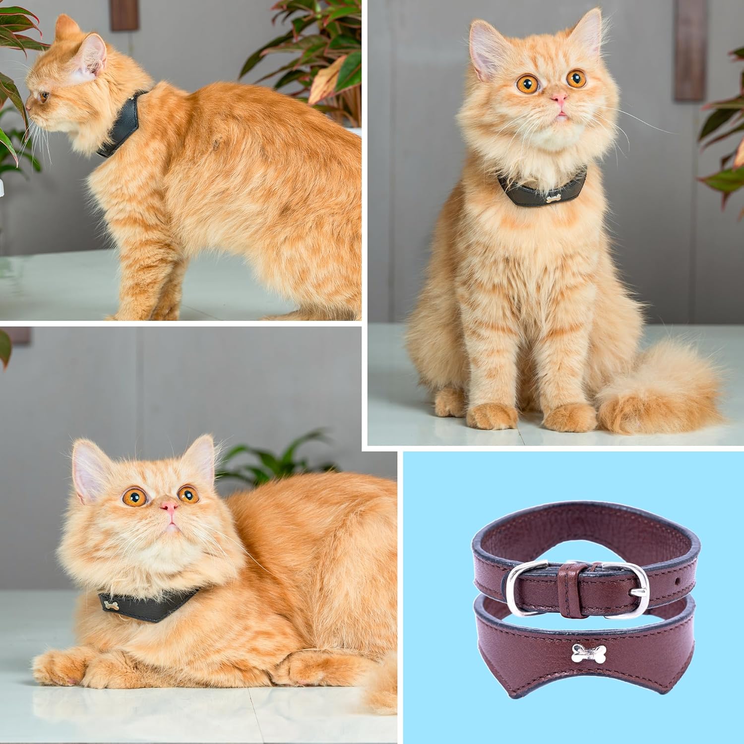 Adil’S Leather Cat Collar - Stylish Single Bone Studded Design, Breakaway Soft pet Collar, Adjustable Metal Buckle with Strong D-Ring for Leash attachments for Outdoor Adventures (Black)