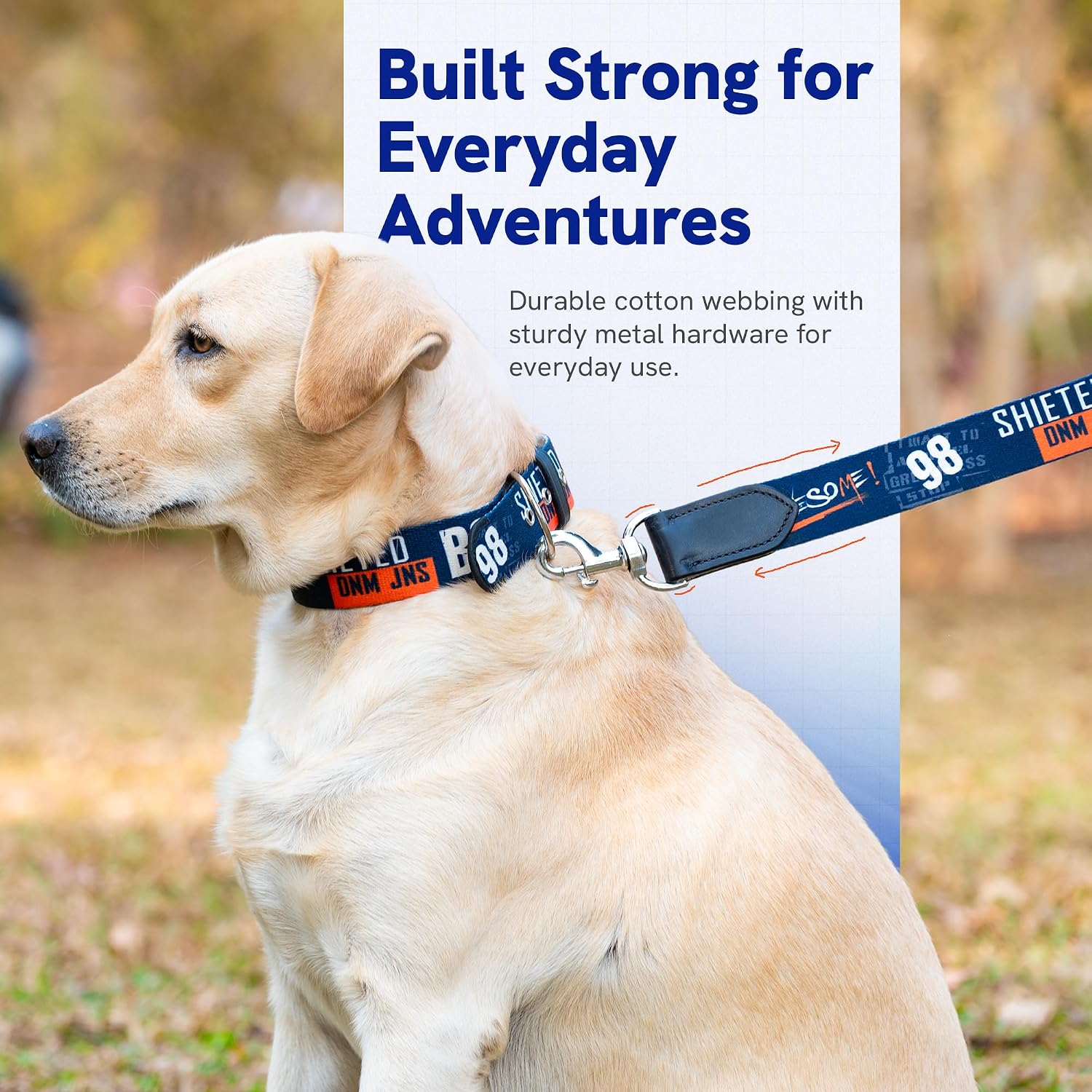 ADIL's Handcrafted Cotton Dog Collar – Premium Graffiti Printed Webbing Neckbelt with Heavy-Duty Metal Buckle & Strong D-Ring Adjustable Neckband for Small Medium Large Dogs