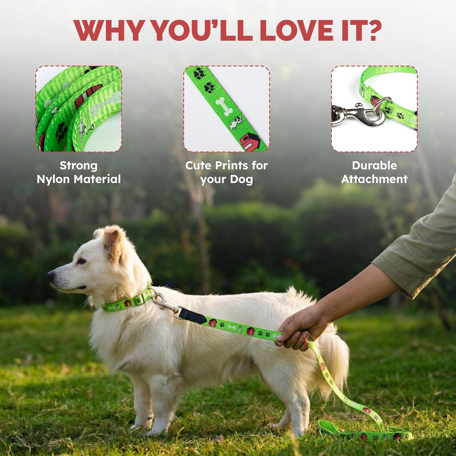 Adil's Nylon Paw Print Dog Collar & Leash Combo Set Quick Release Buckle 360° Swivel Hook Leather Accents 0.75 Inch Collar 5Ft Lead Walking Training for Small Medium Pets