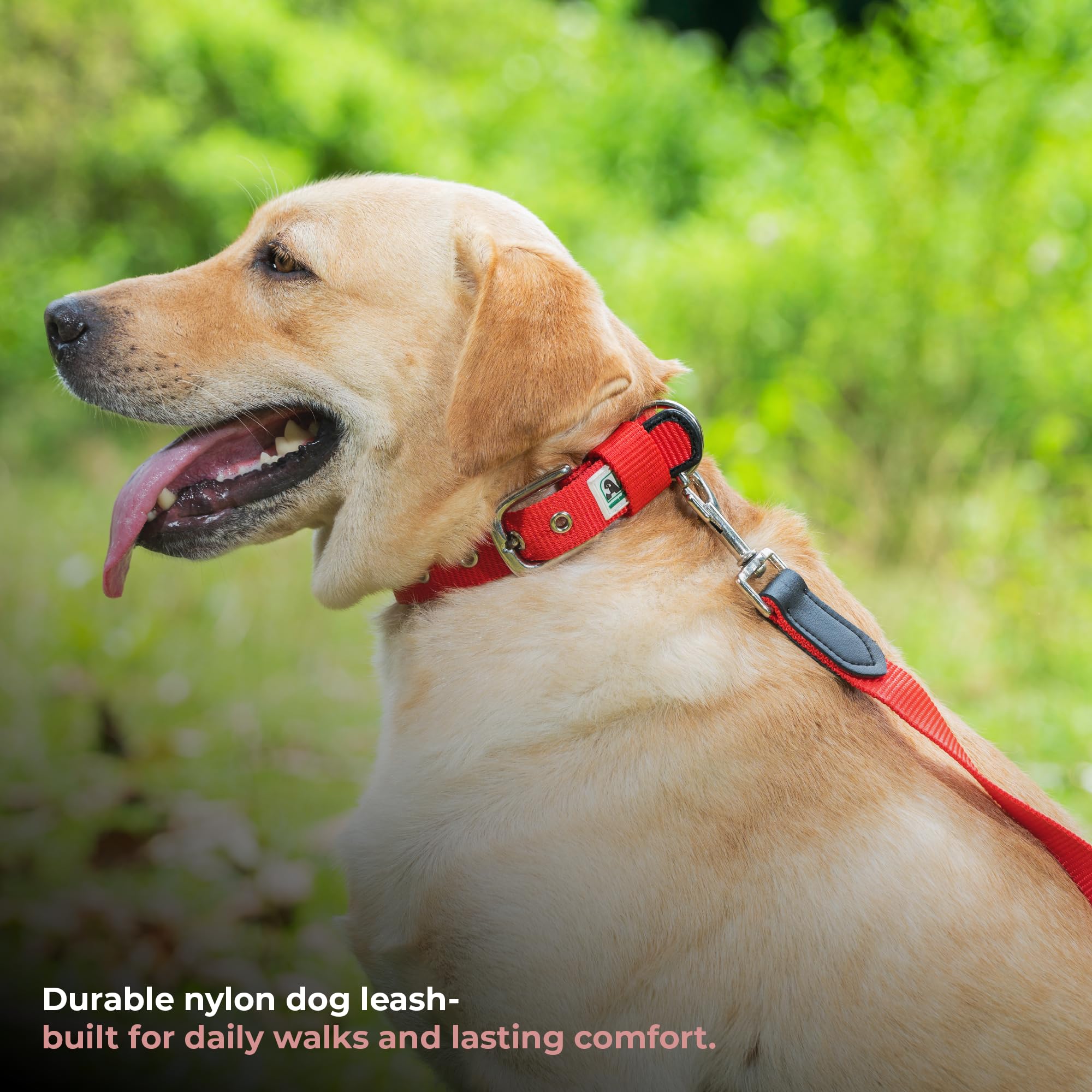 Adil’s 5FT Adjustable Nylon Dog Leash with Soft Leather Handle – Durable Long Lead with 360° Swivel Hook – Strong, Tangle-Free Leash for Walking & Training Small, Medium & Large Dogs