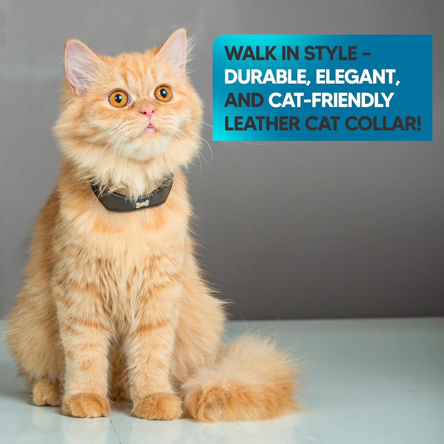 Adil’S Leather Cat Collar - Stylish Single Bone Studded Design, Breakaway Soft pet Collar, Adjustable Metal Buckle with Strong D-Ring for Leash attachments for Outdoor Adventures (Black)